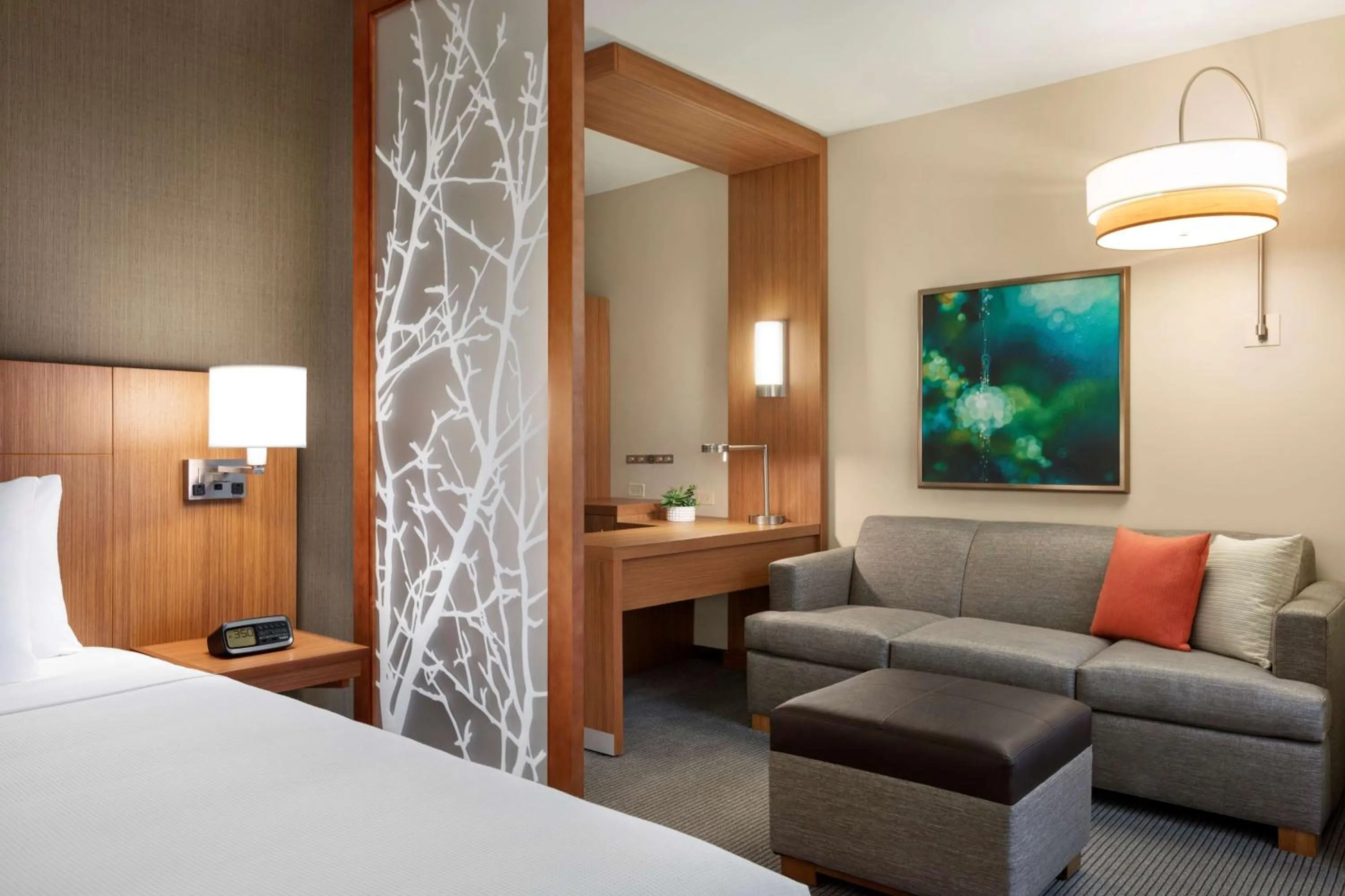 Photo of the whole room, Bed in Hyatt Place Virginia Beach Town Center