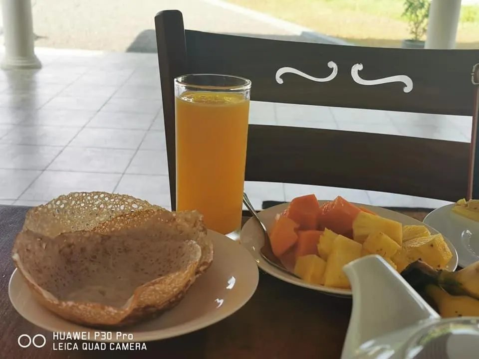 Turtle Paradise Villa