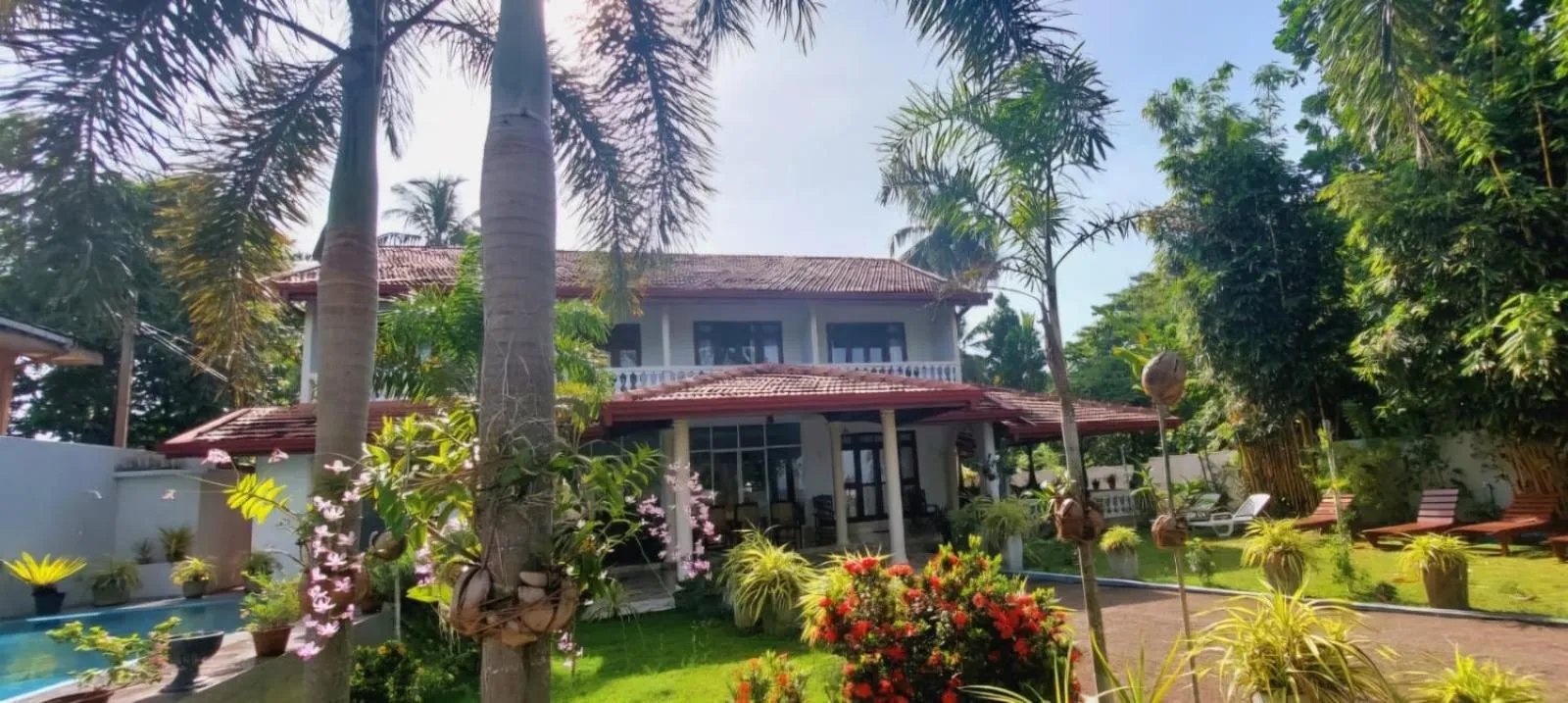Turtle Paradise Villa