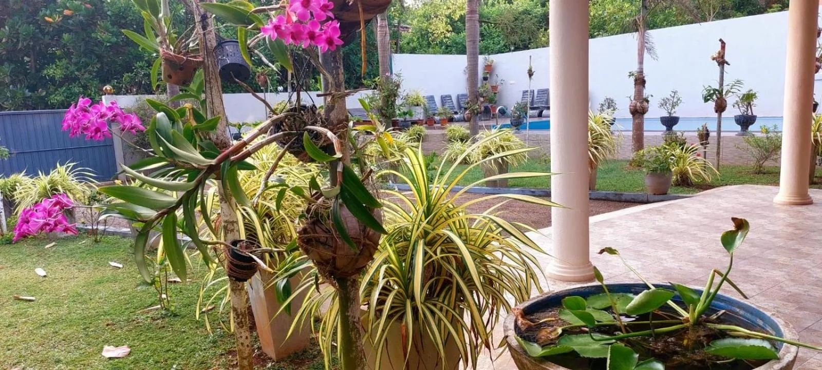 Turtle Paradise Villa