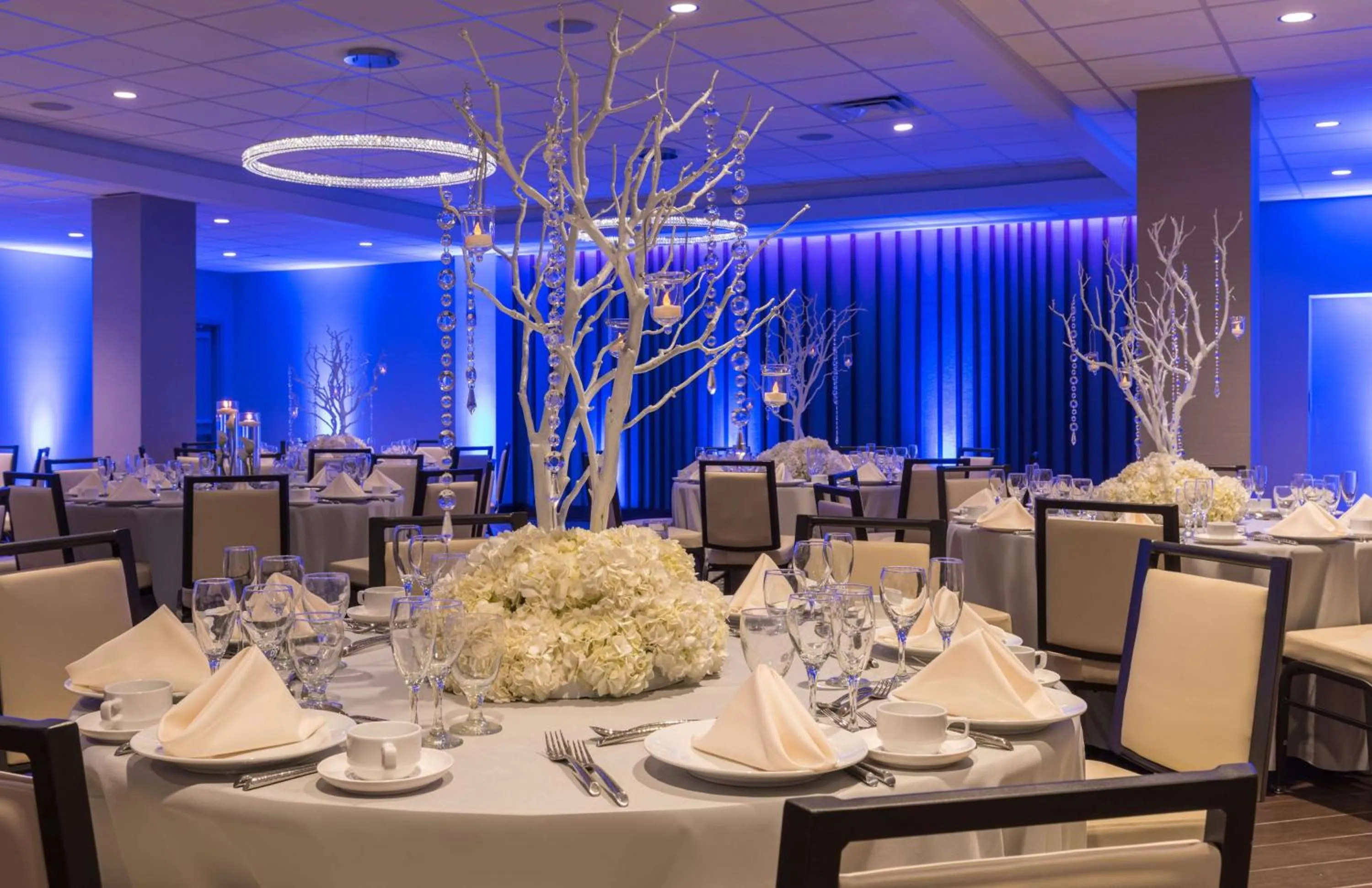 Dining area in Hilton Tampa Downtown