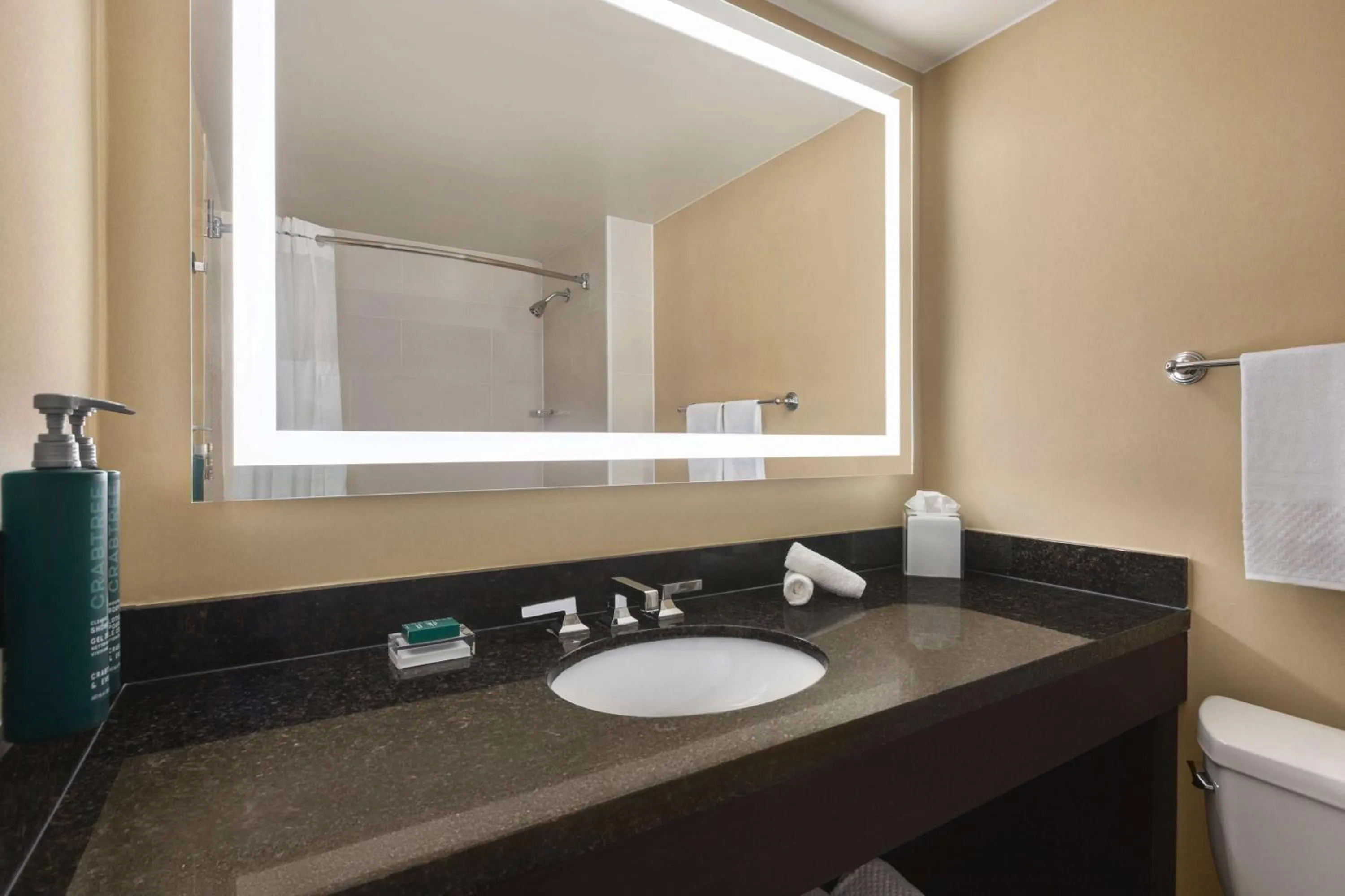 Bathroom in Hilton Tampa Downtown