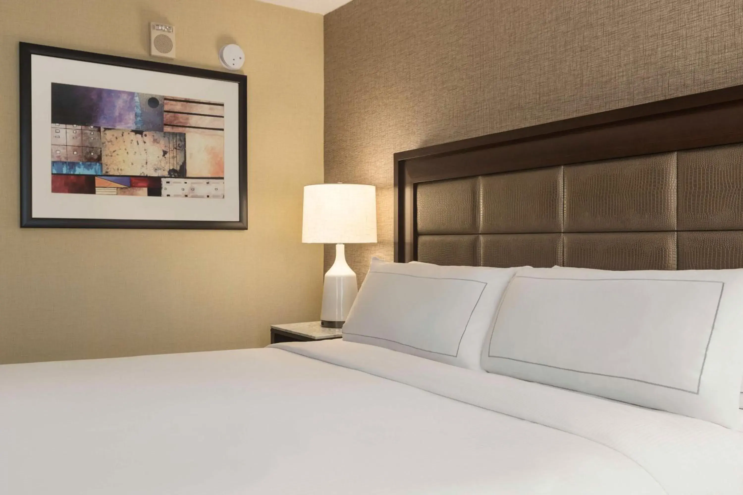 King Room with Tub - Mobility and Hearing Access in Hilton Tampa Downtown King Room with Tub - Mobility and Hearing Access in Hilton Tampa Downtown