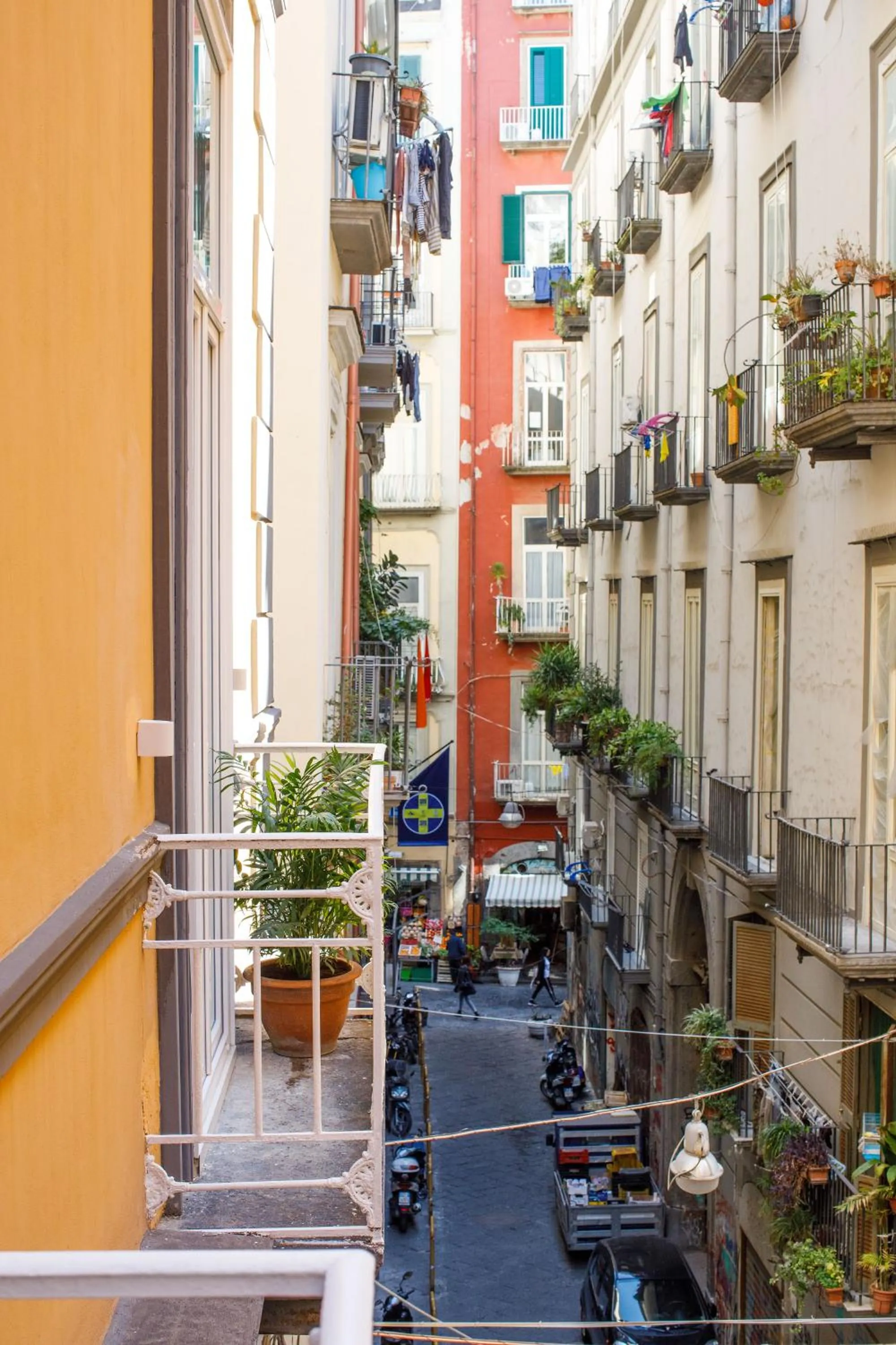 Street view in MelRose Napoli