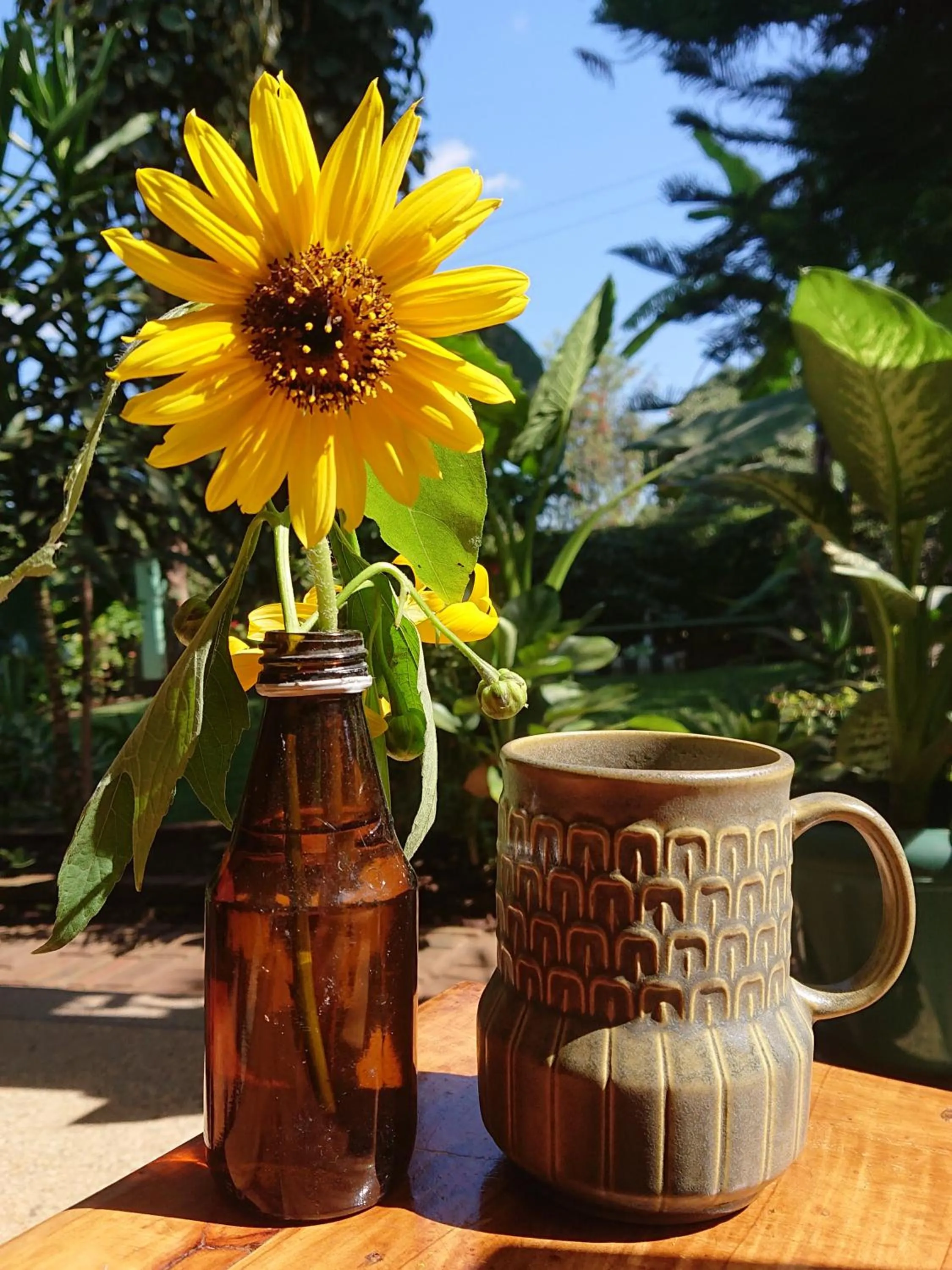 Coffee/tea facilities in Kiwavi Home
