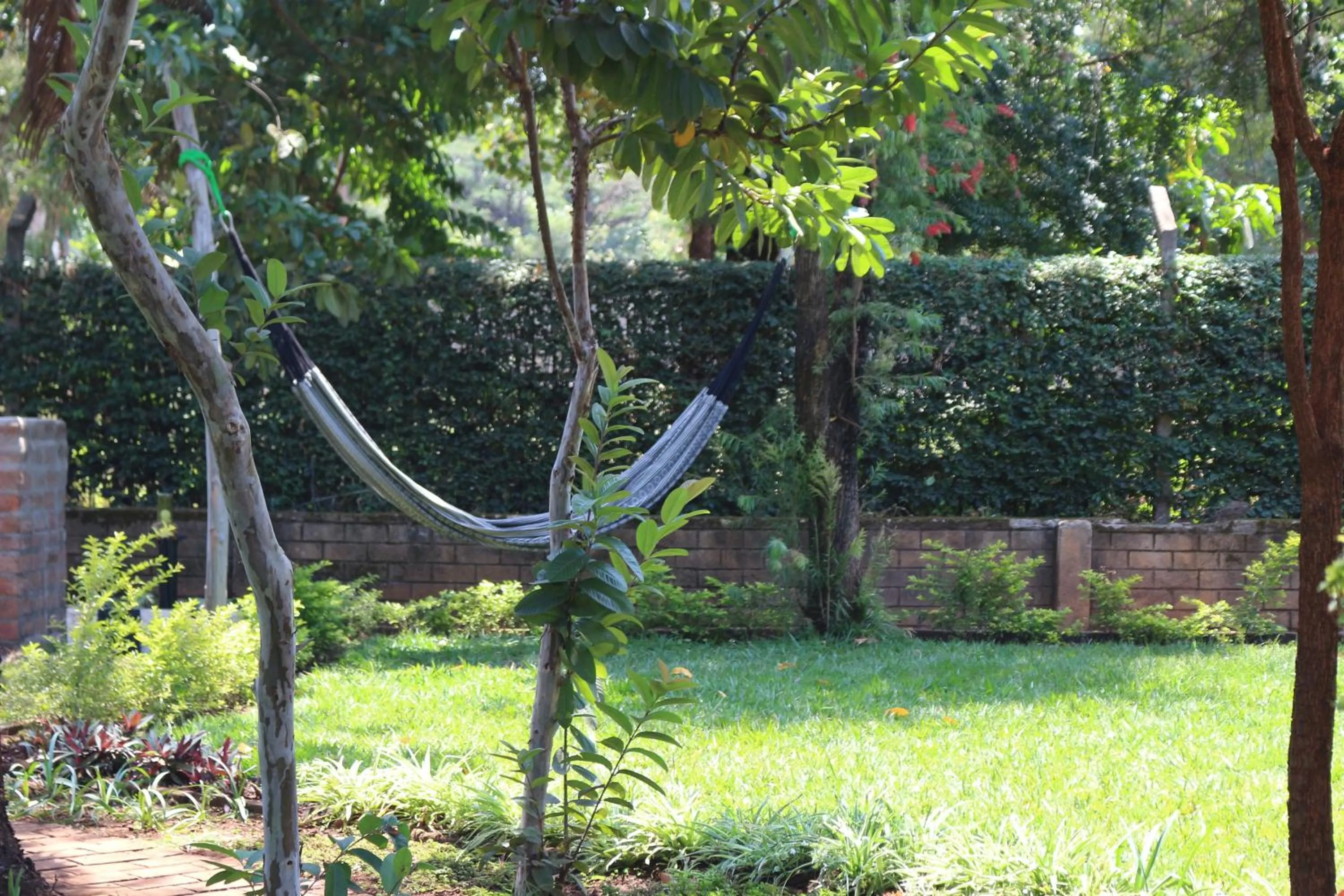 Garden view in Kiwavi Home