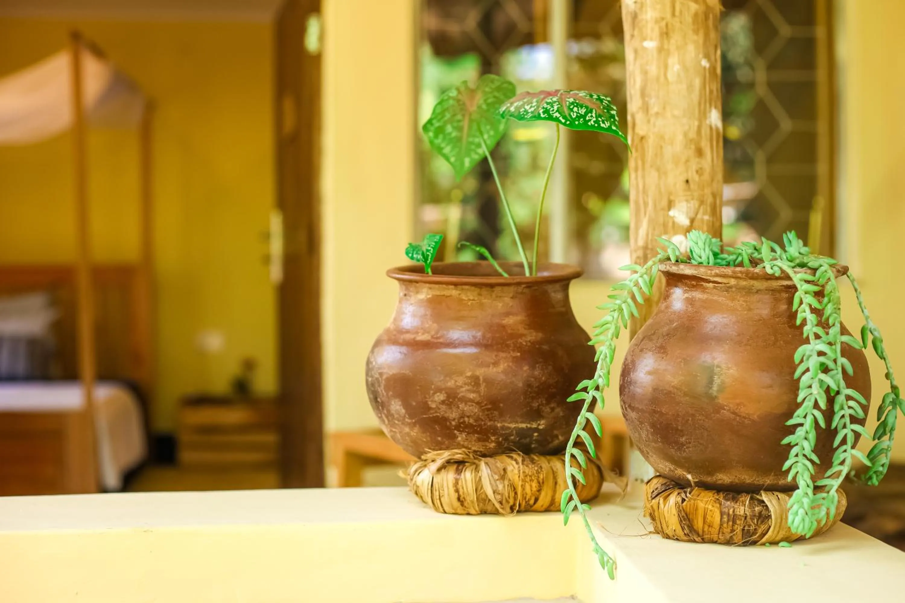 Balcony/Terrace in Kiwavi Home