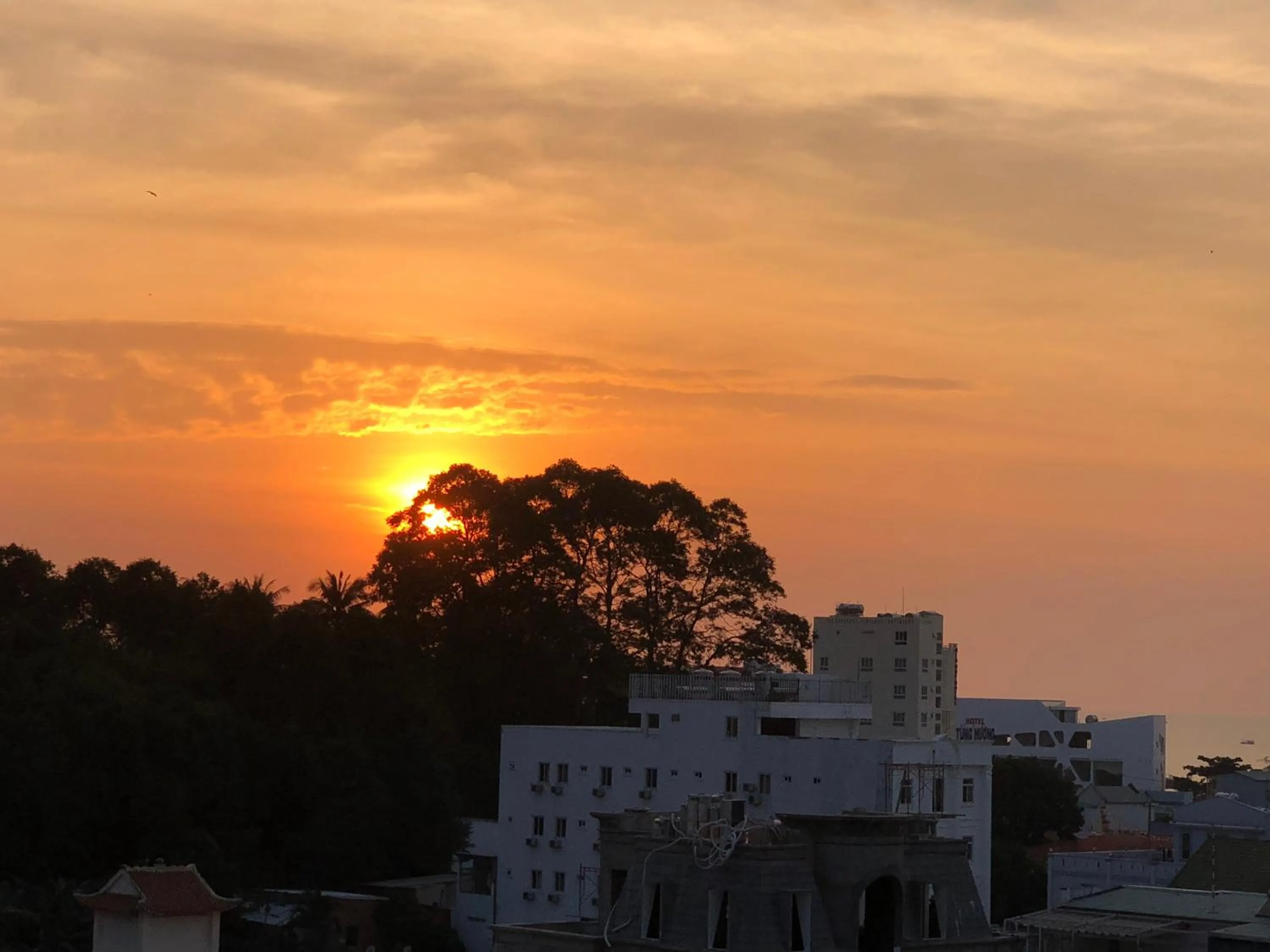 Spring in Khách sạn Tuyết Hiển