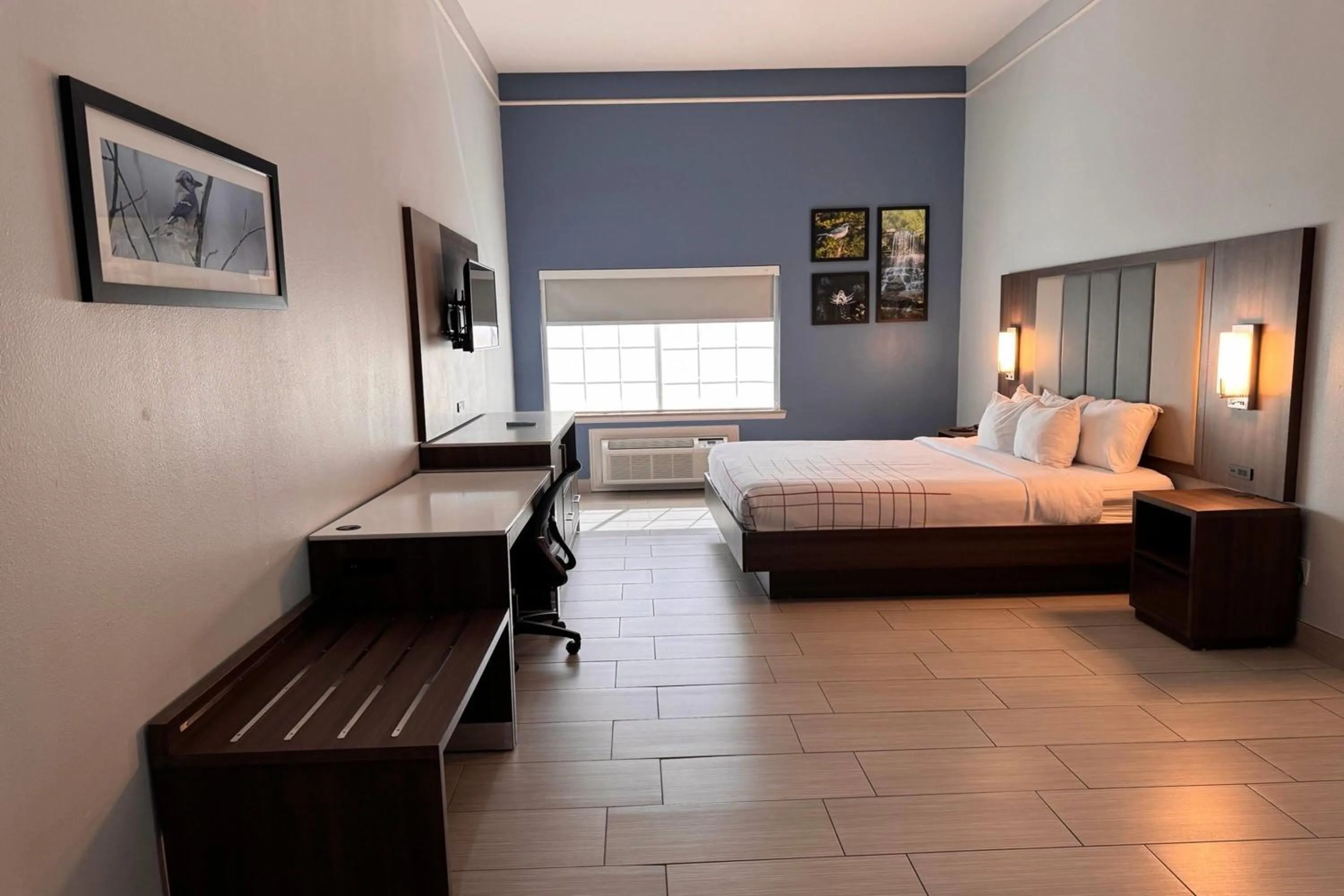 Photo of the whole room, Bed in La Quinta by Wyndham Alamo-McAllen East