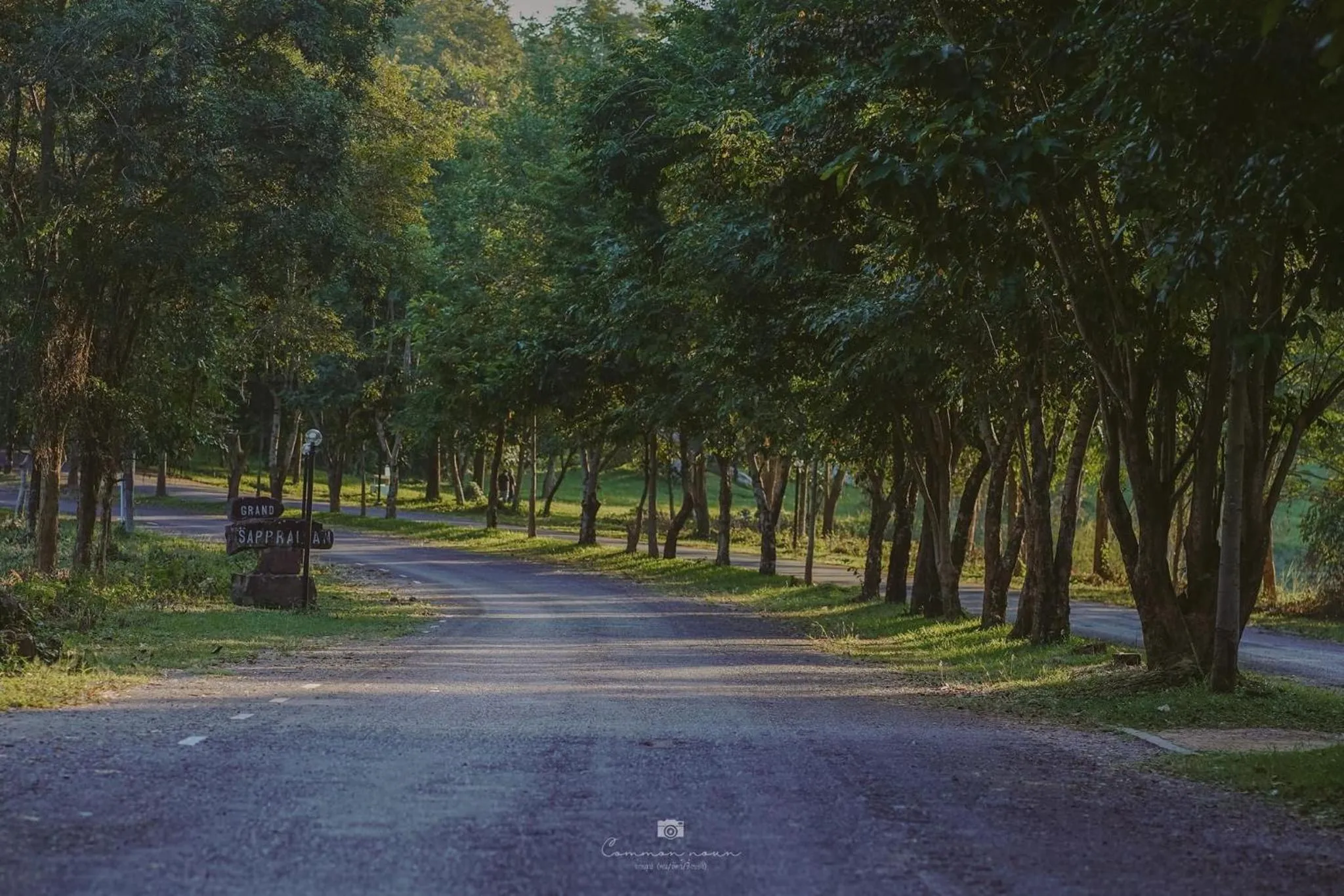 Sappraiwan Elephant Resort & Sanctuary