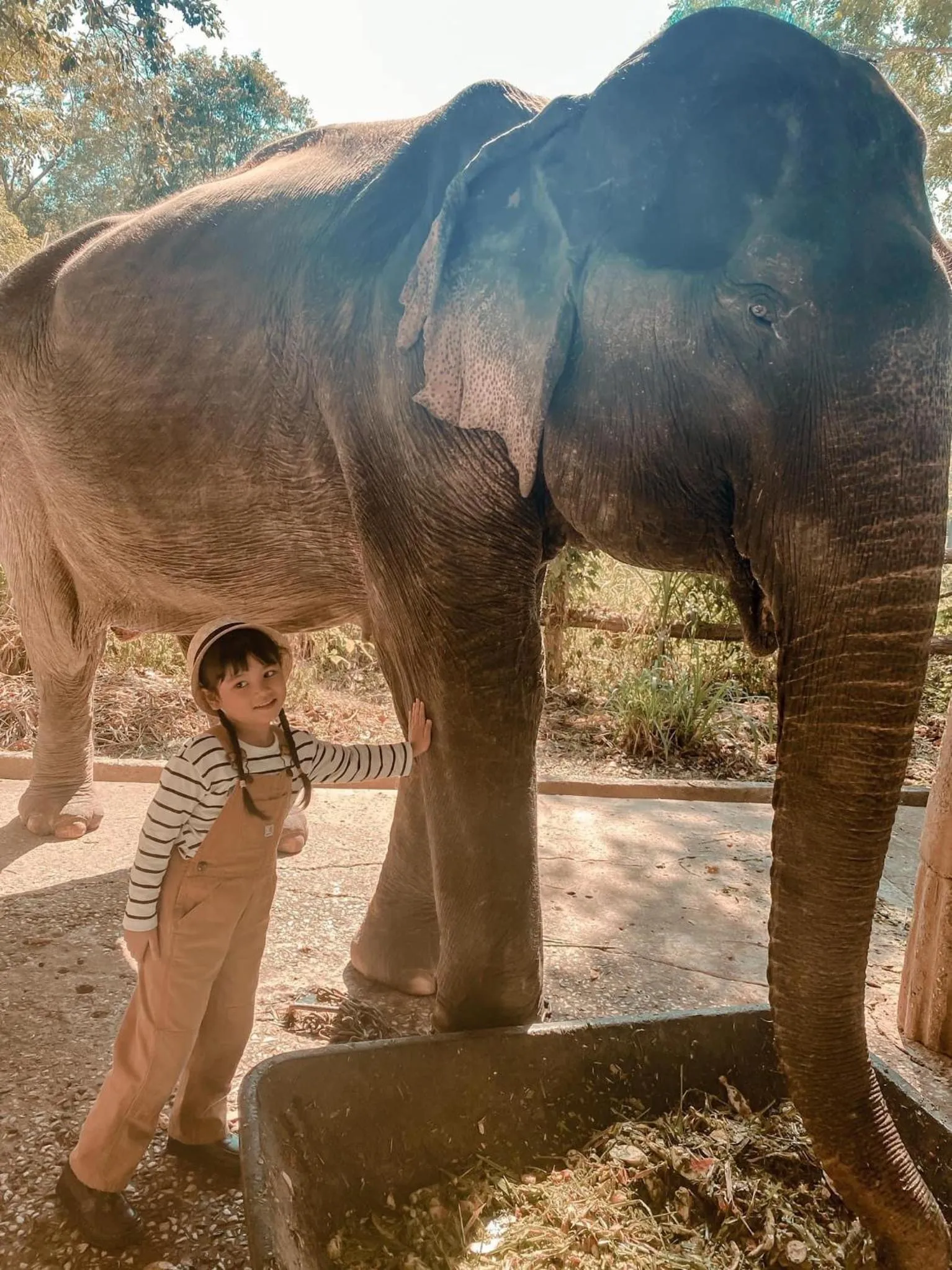 Sappraiwan Elephant Resort & Sanctuary