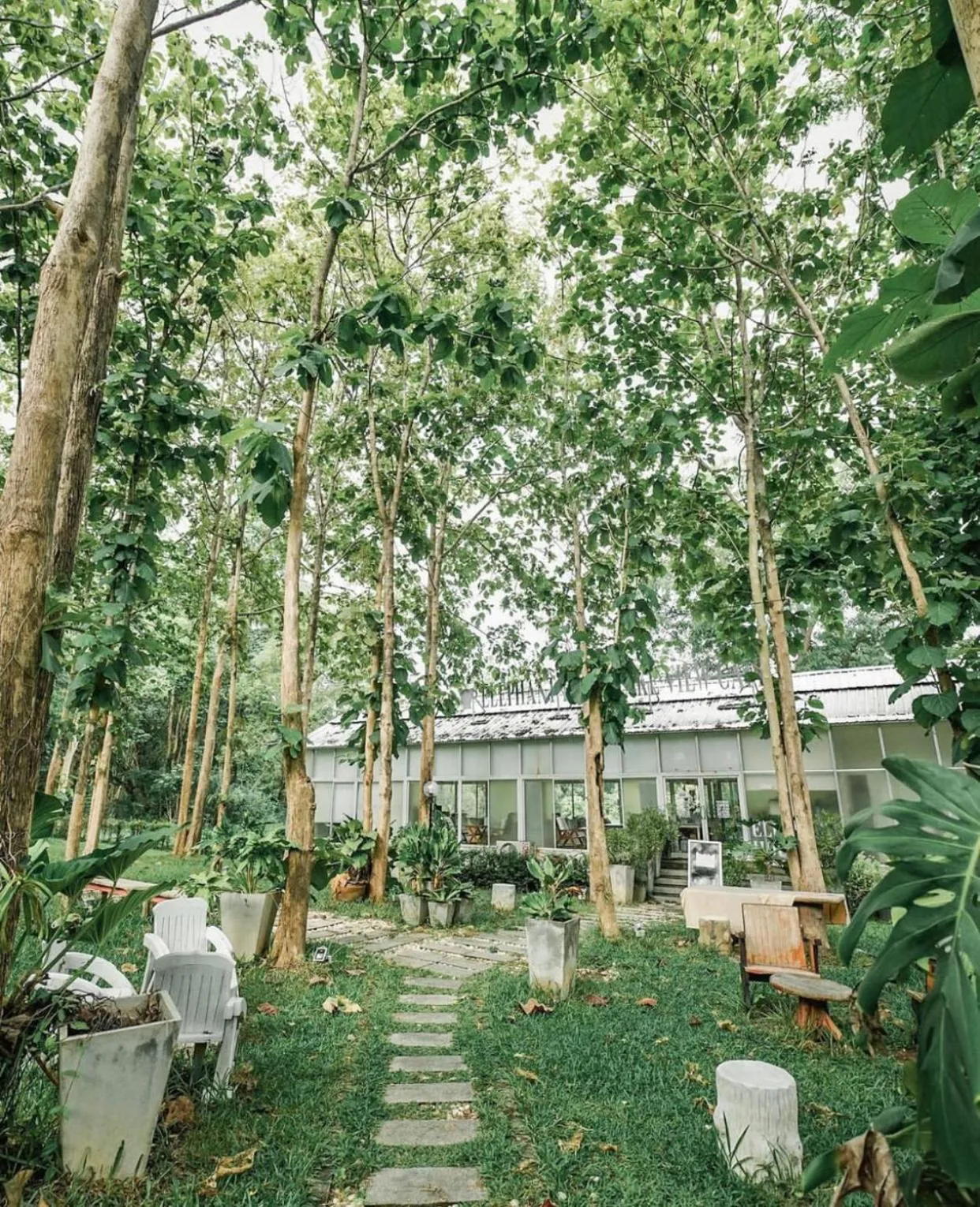 Sappraiwan Elephant Resort & Sanctuary