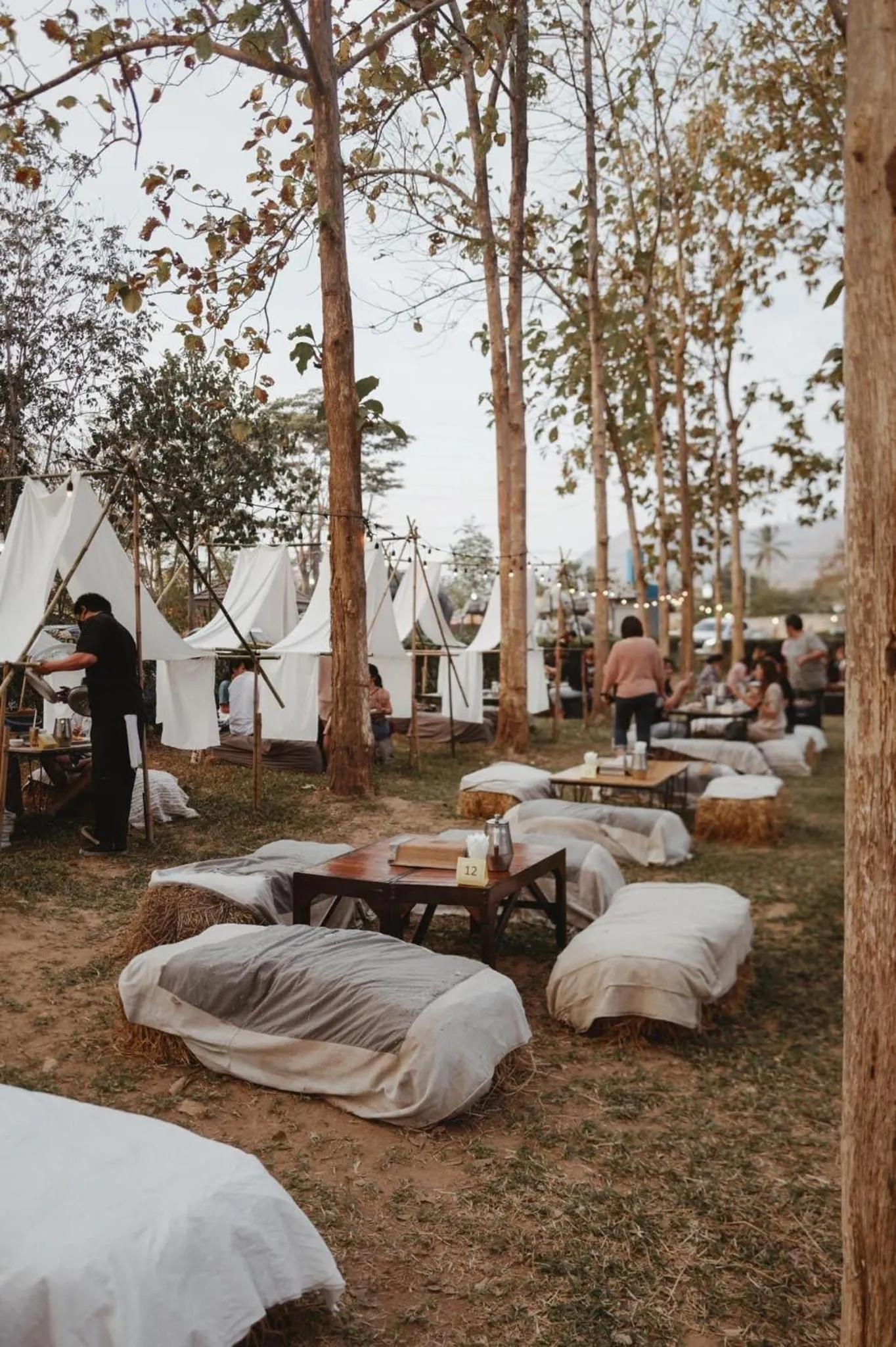 Sappraiwan Elephant Resort & Sanctuary