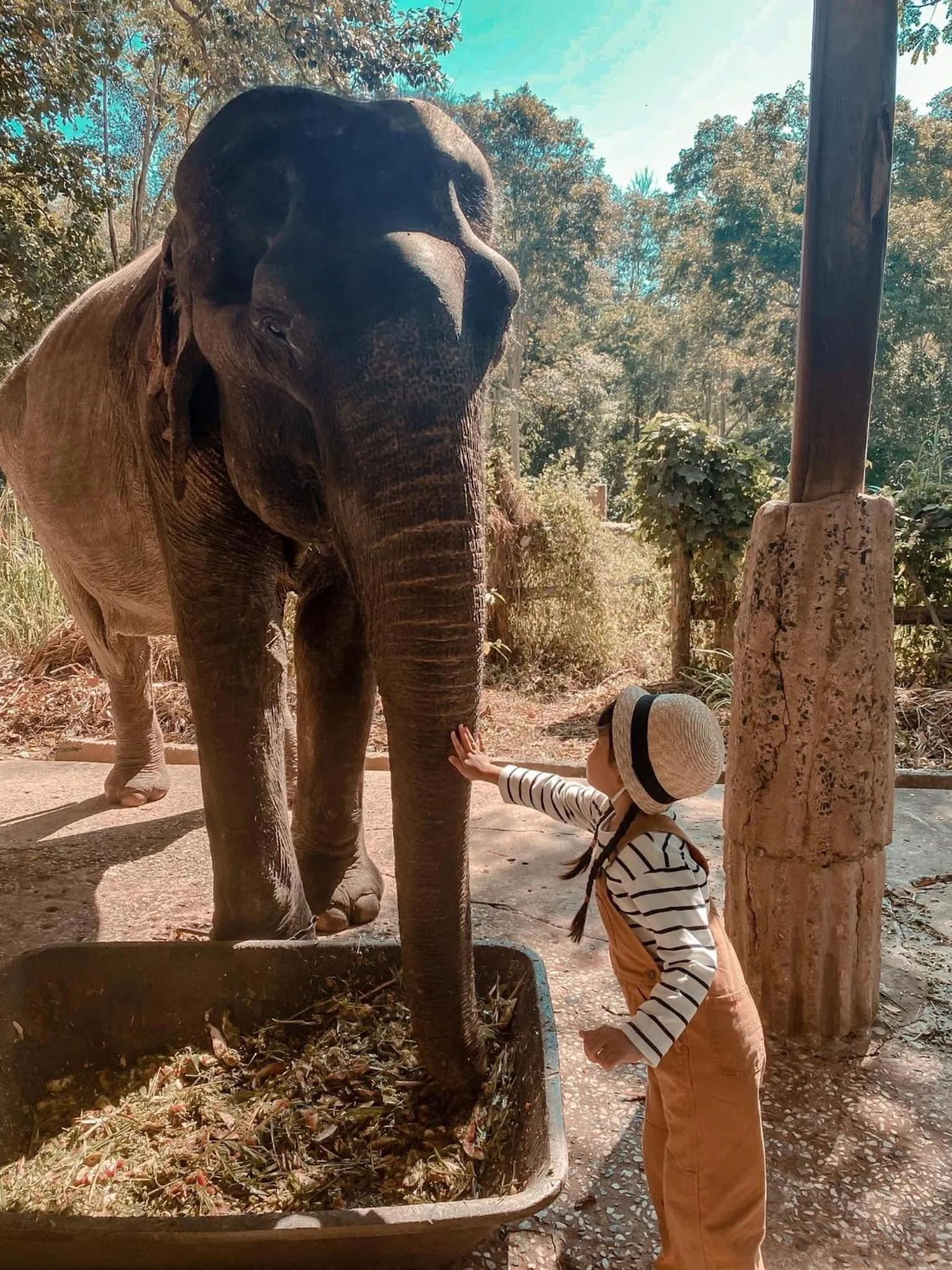 Sappraiwan Elephant Resort & Sanctuary