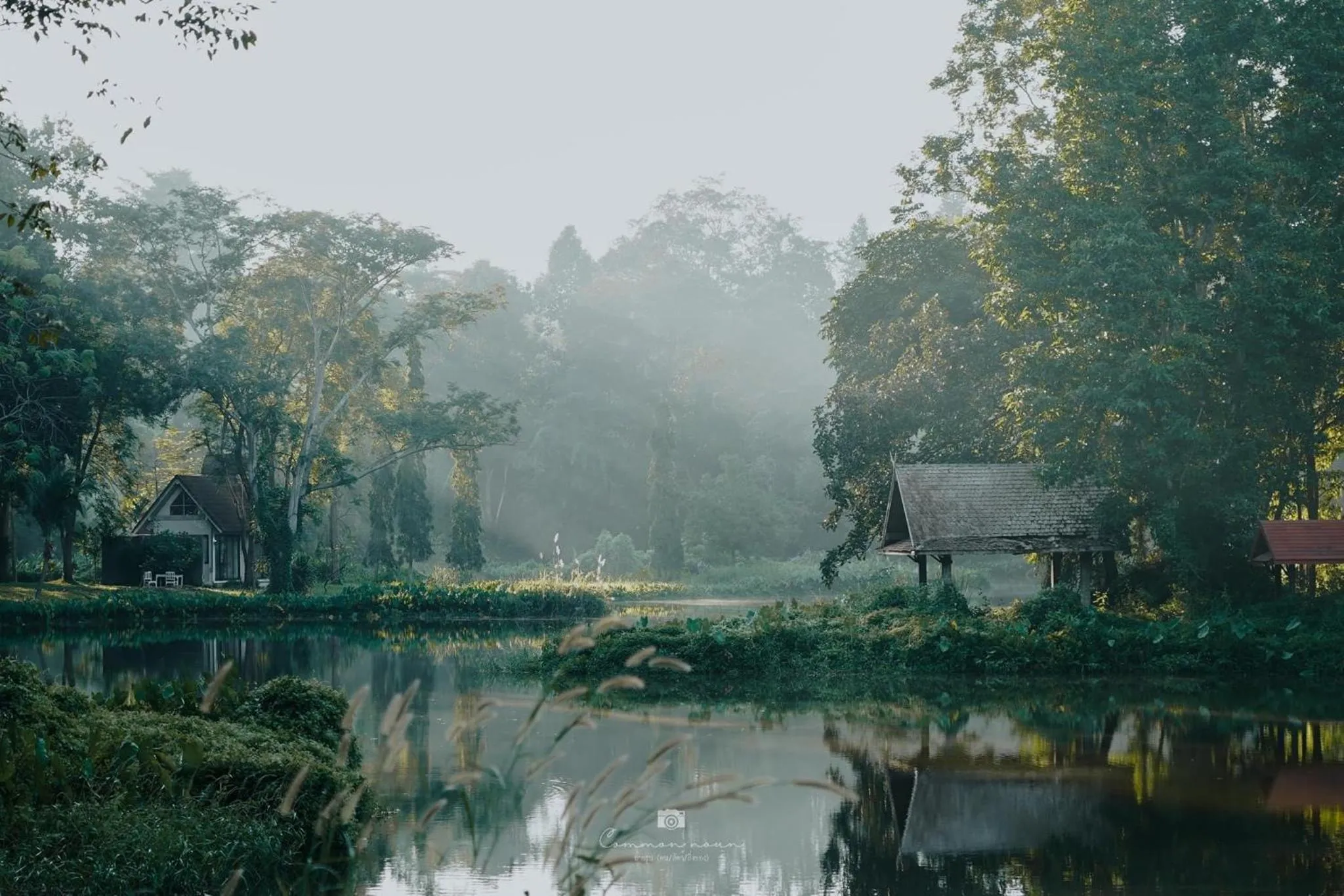 Sappraiwan Elephant Resort & Sanctuary