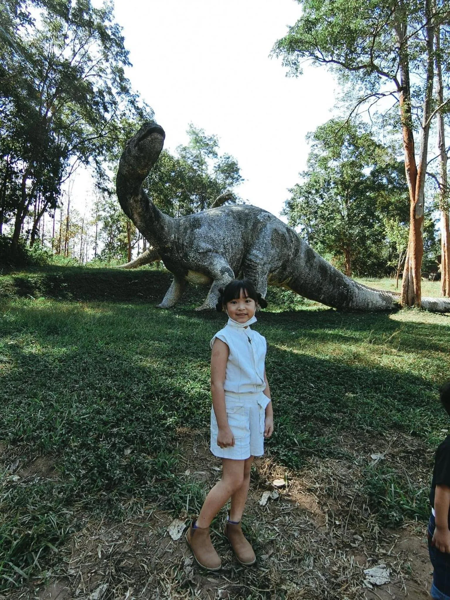 Sappraiwan Elephant Resort & Sanctuary