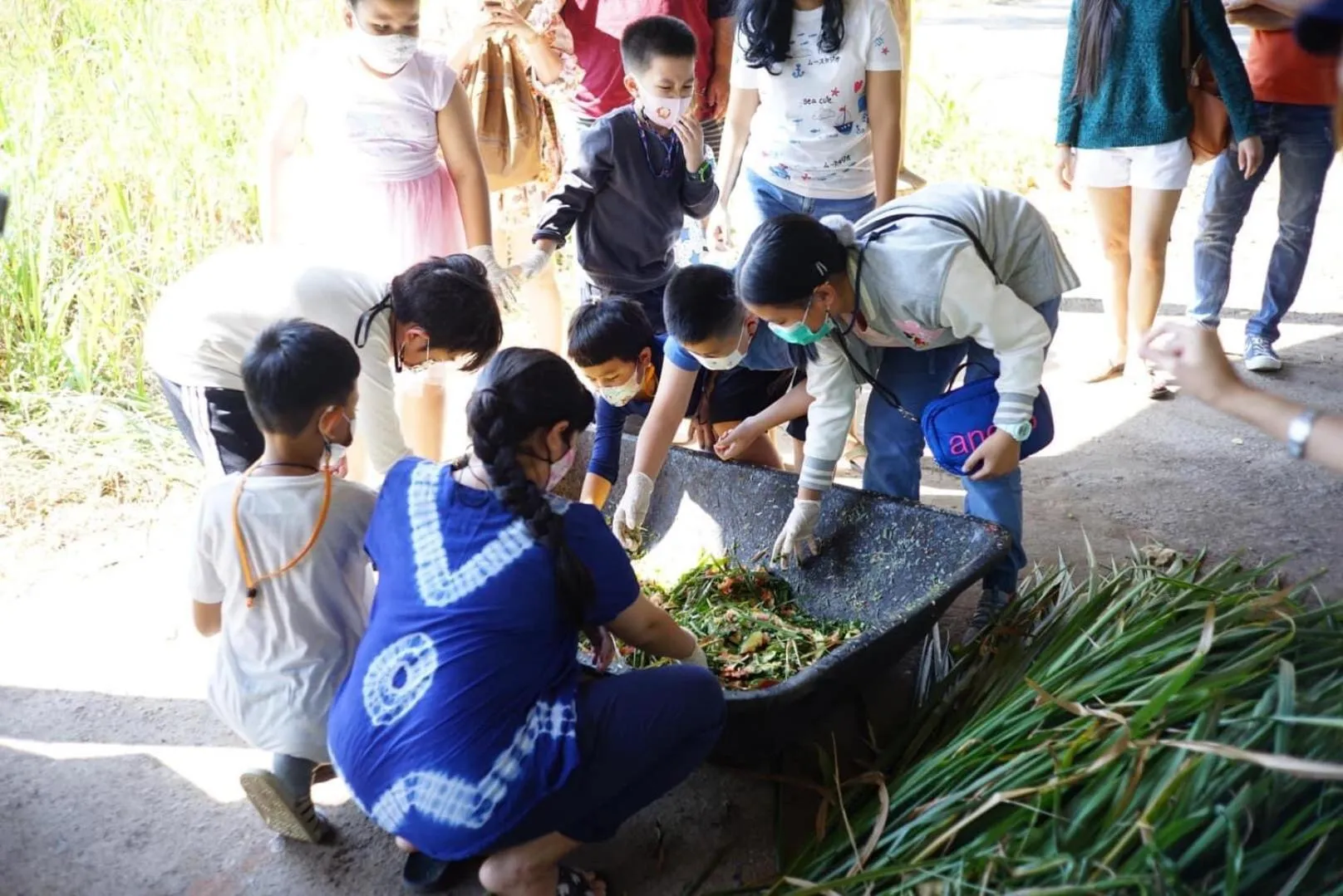 Sappraiwan Elephant Resort & Sanctuary