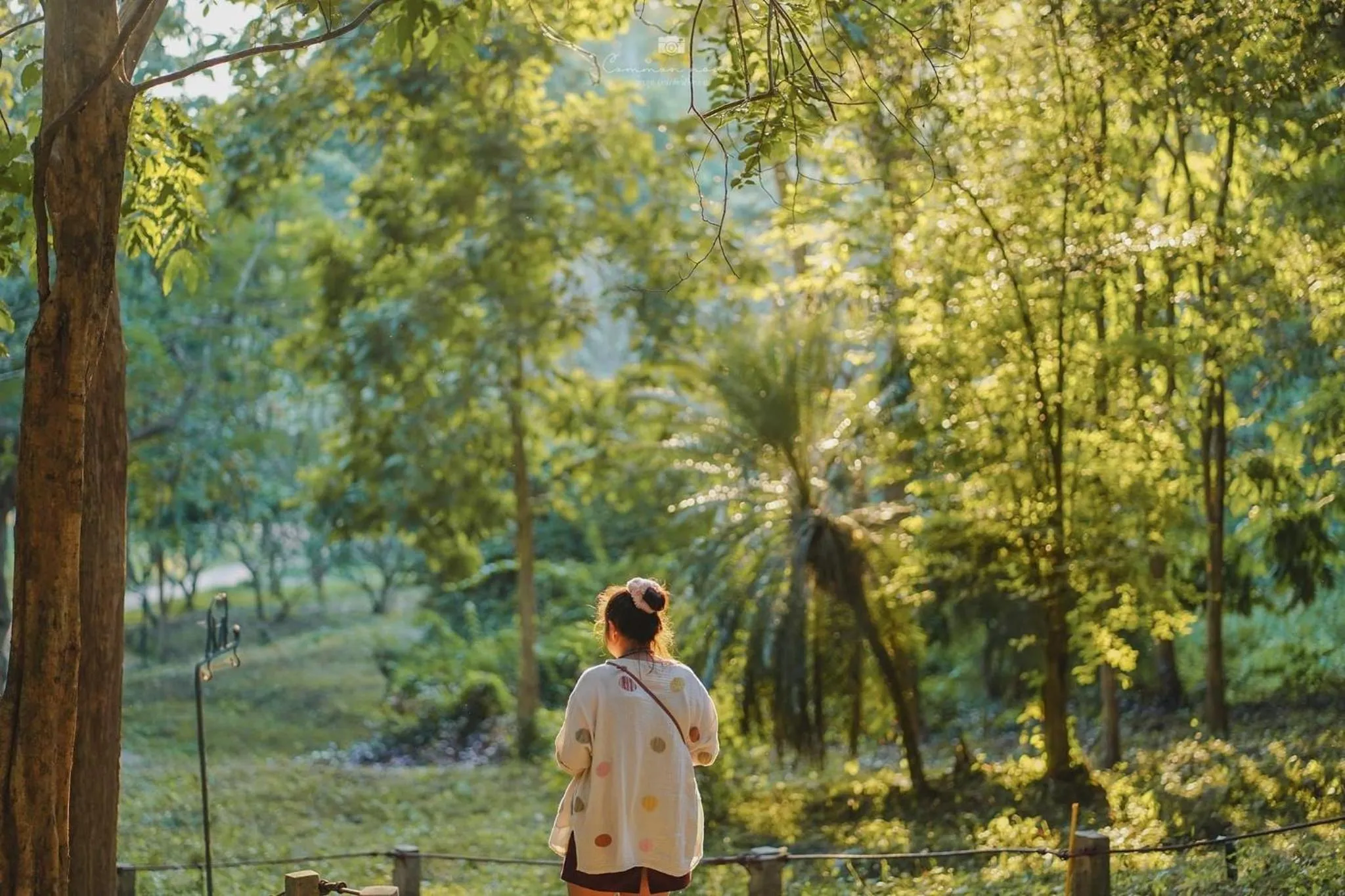 Sappraiwan Elephant Resort & Sanctuary