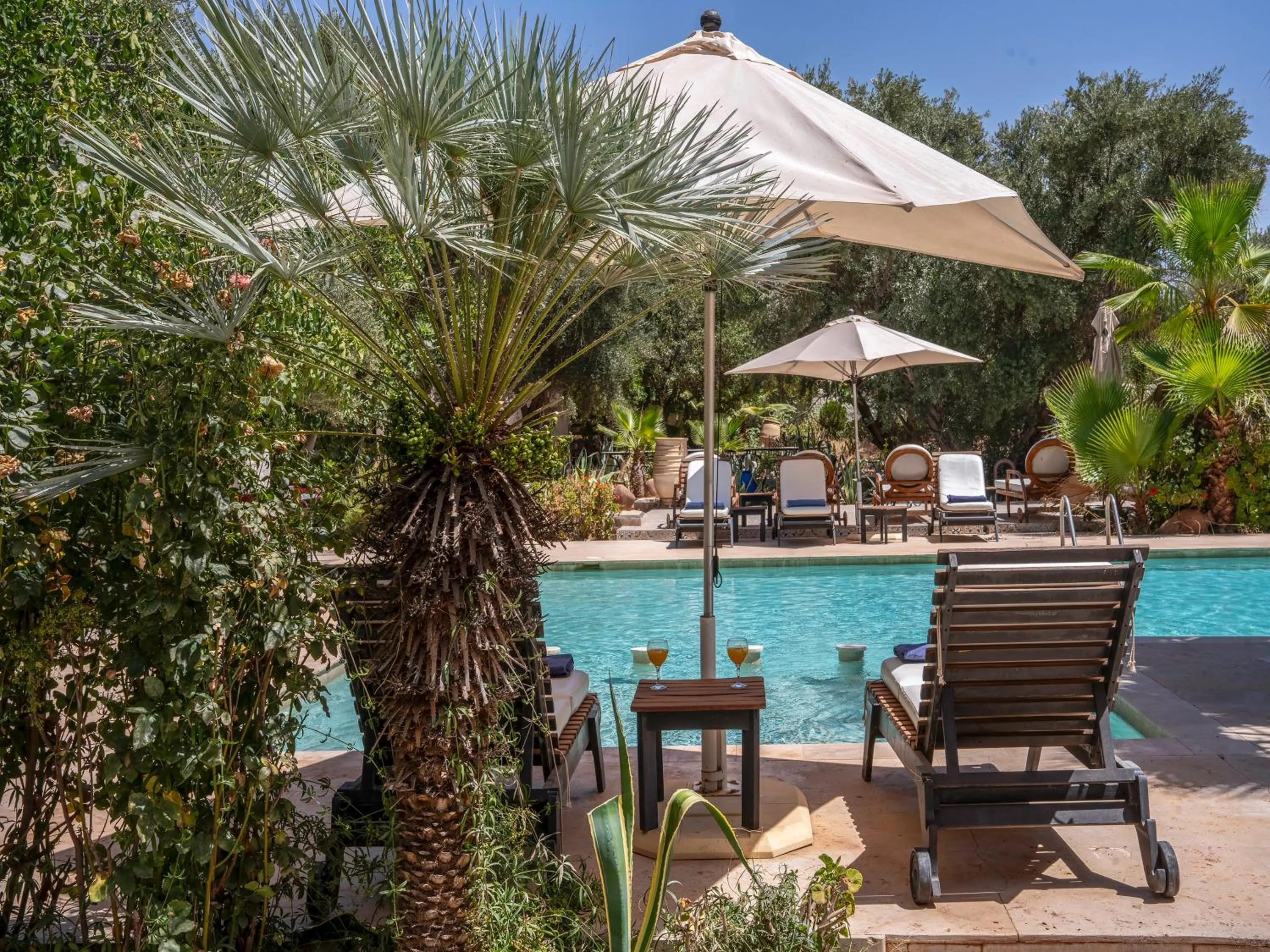 Pool view in Clé De Sol Riad & SPA