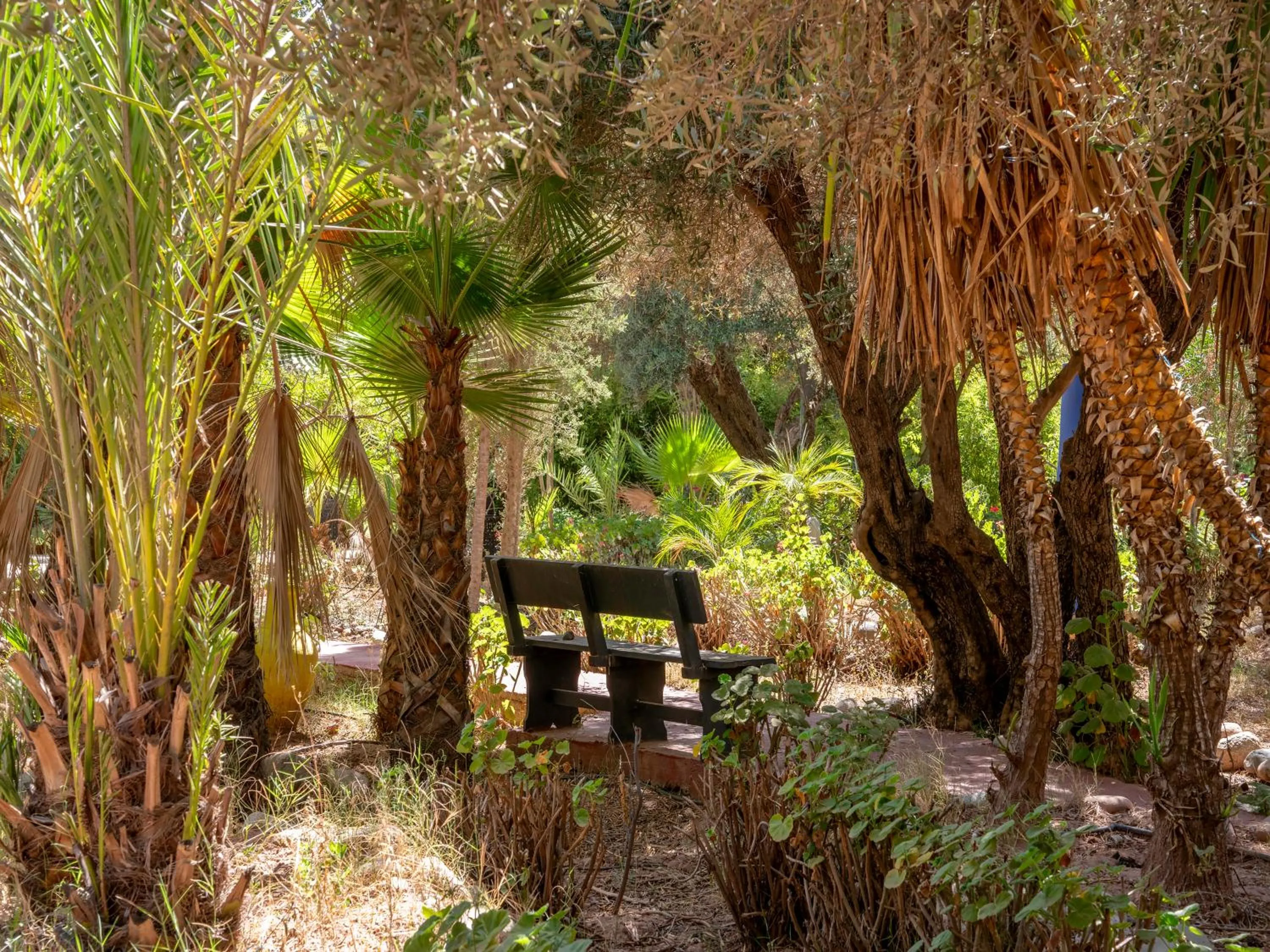 Natural landscape in Clé De Sol Riad & SPA