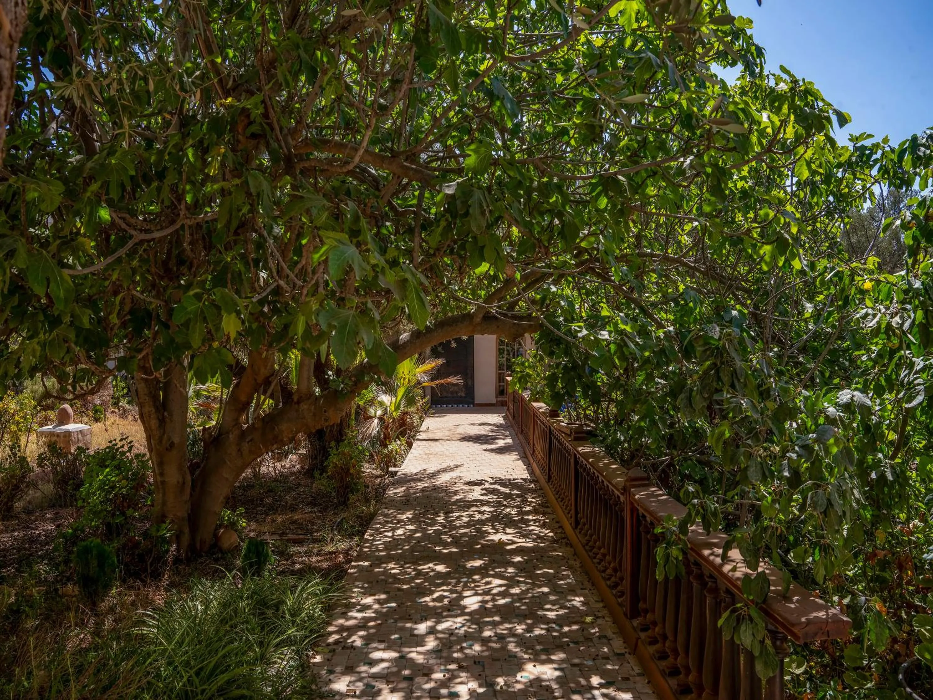 Natural landscape in Clé De Sol Riad & SPA