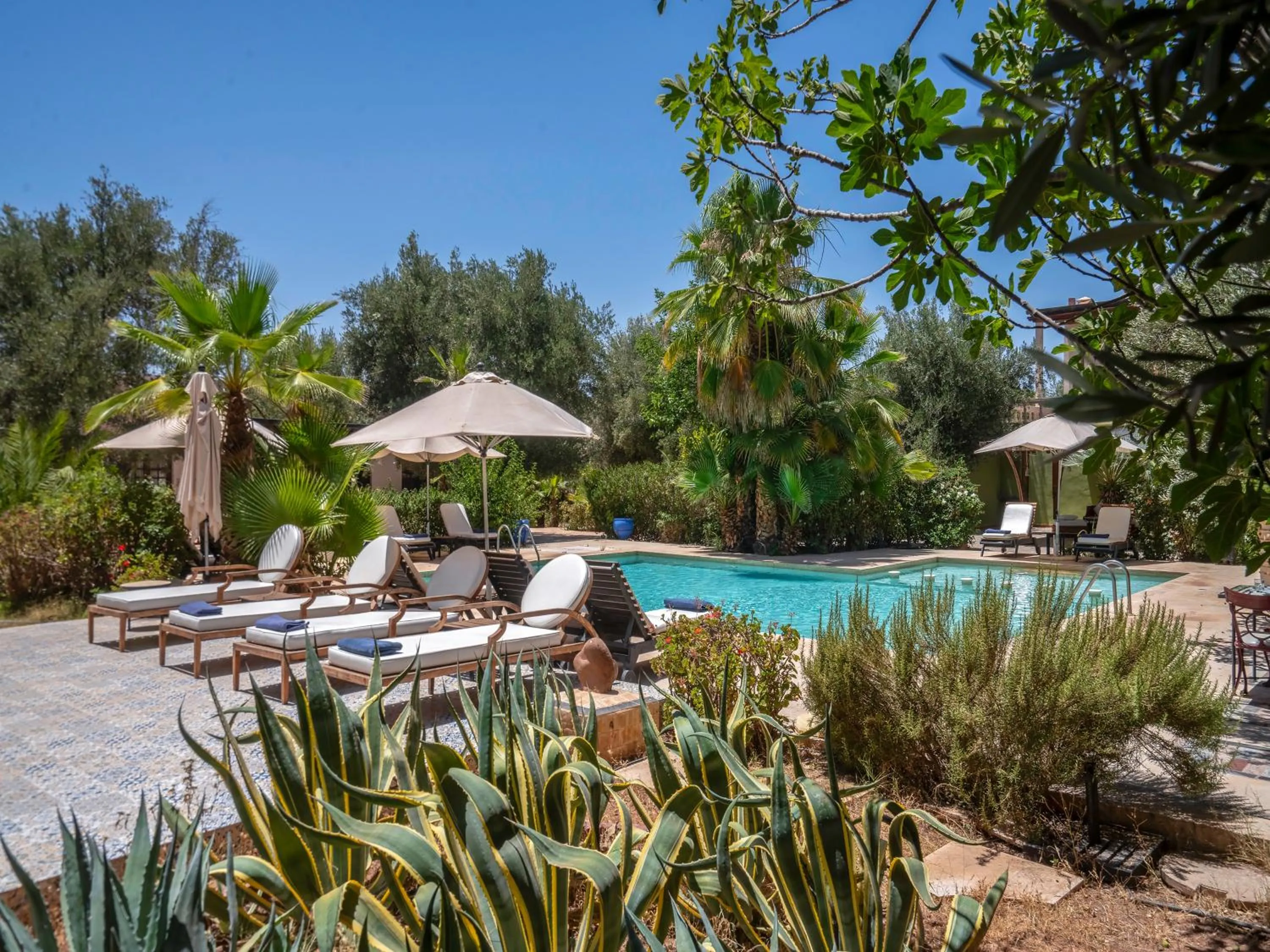 Swimming pool in Clé De Sol Riad & SPA