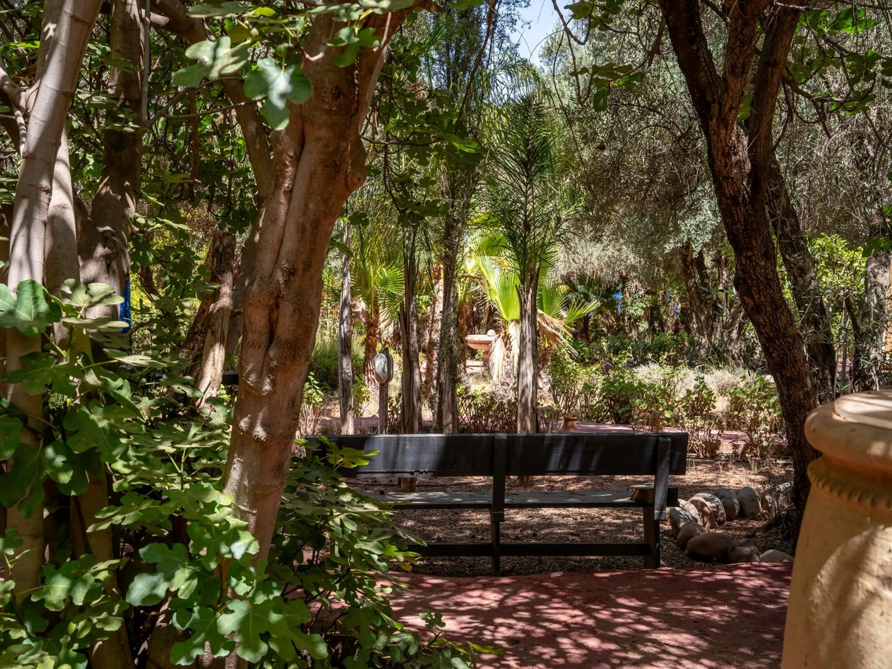 Natural landscape in Clé De Sol Riad & SPA