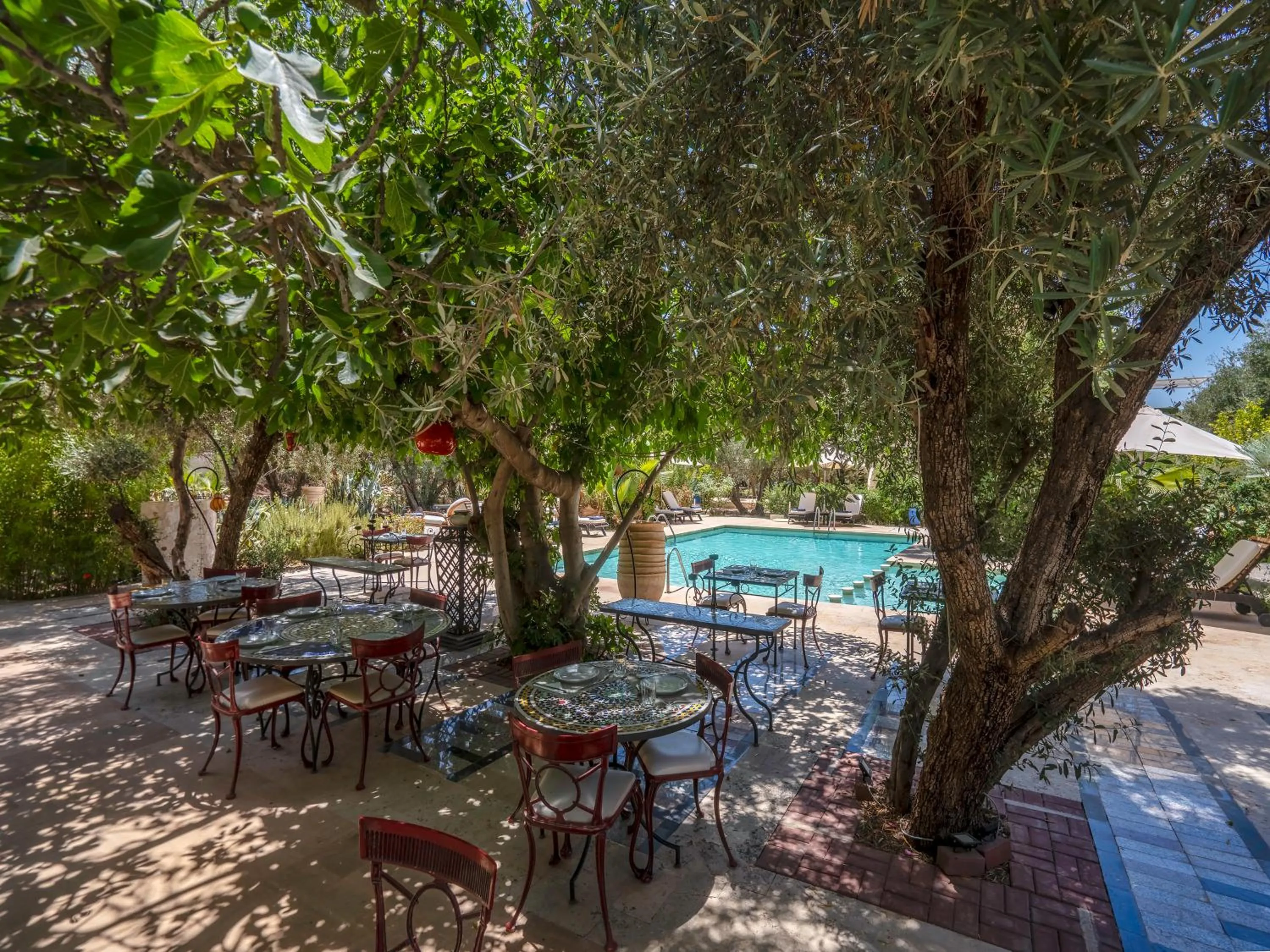 Garden in Clé De Sol Riad & SPA
