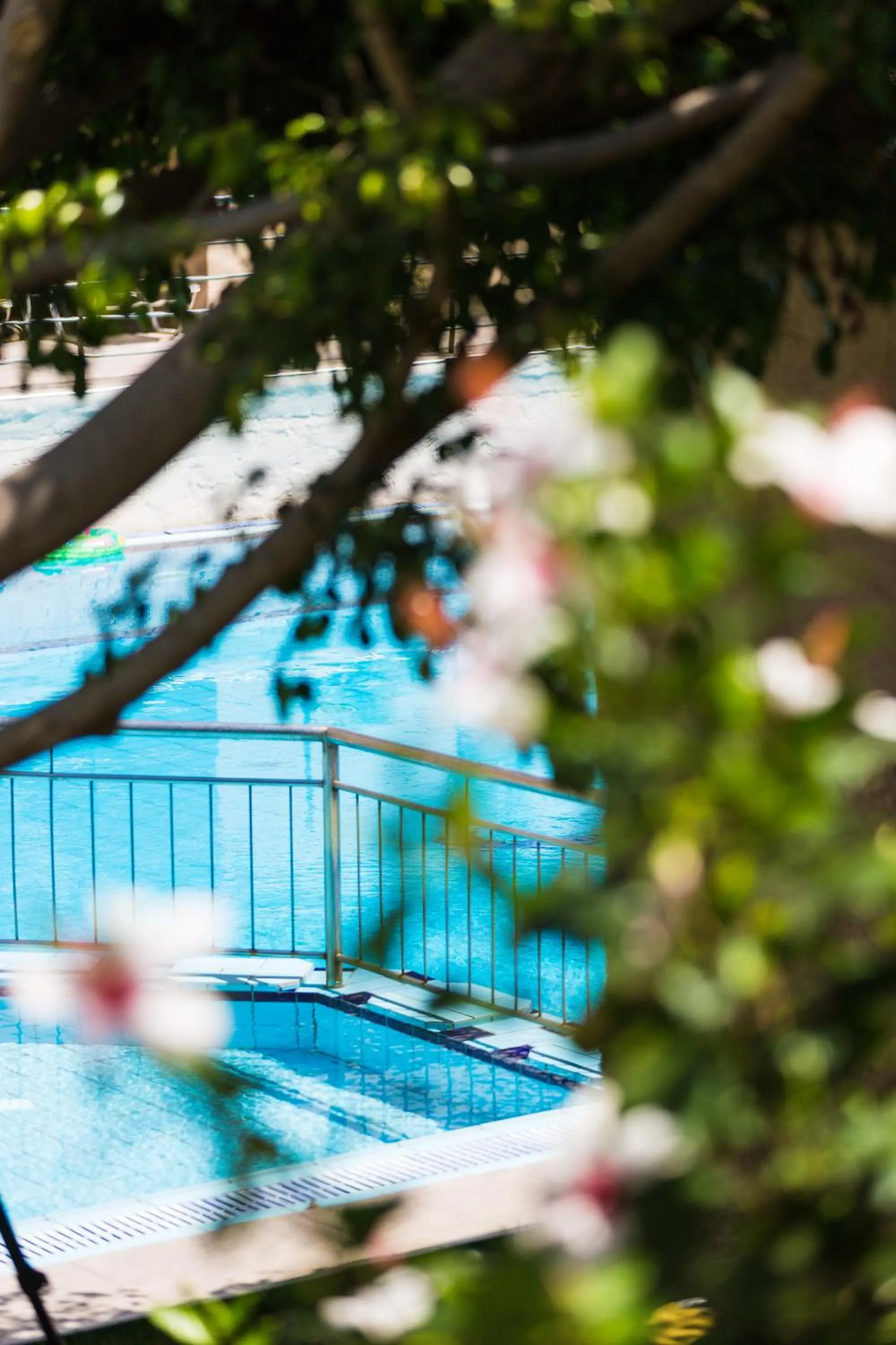 Swimming pool in Philoxenia Apartments