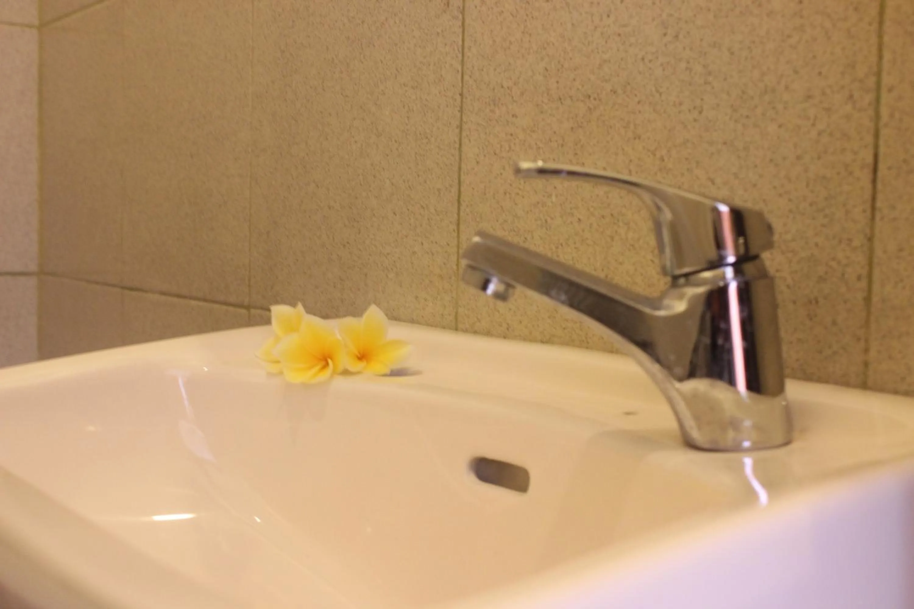 Bathroom in Jesens Inn II