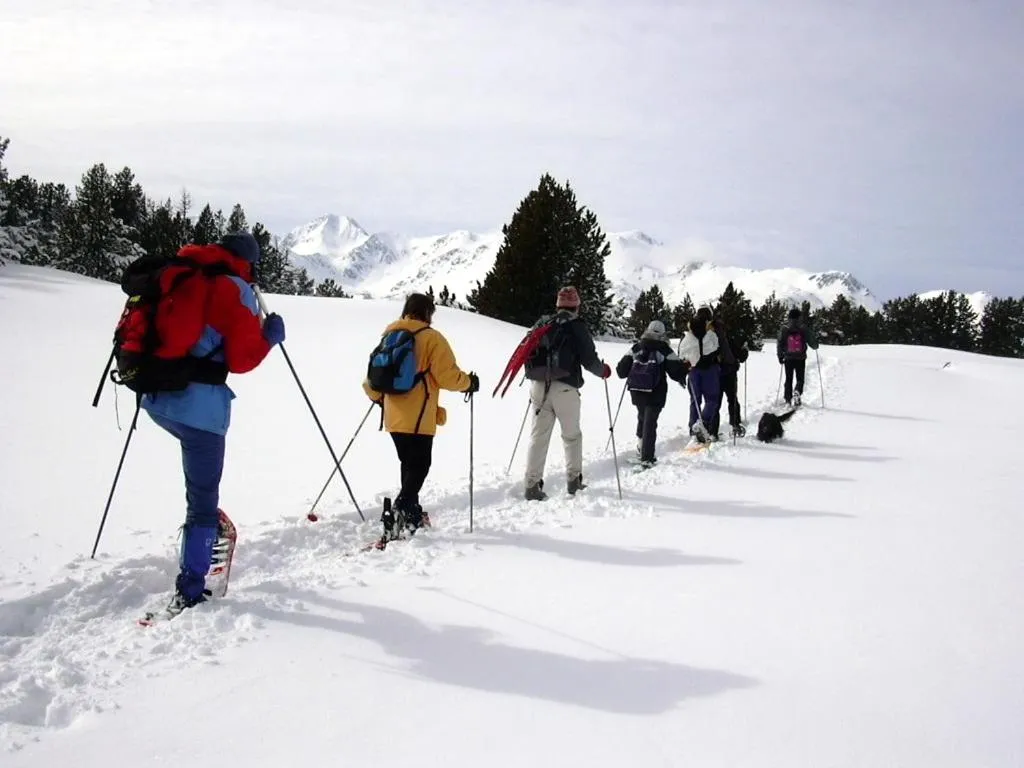 Activities in Le Chalet du Ticou