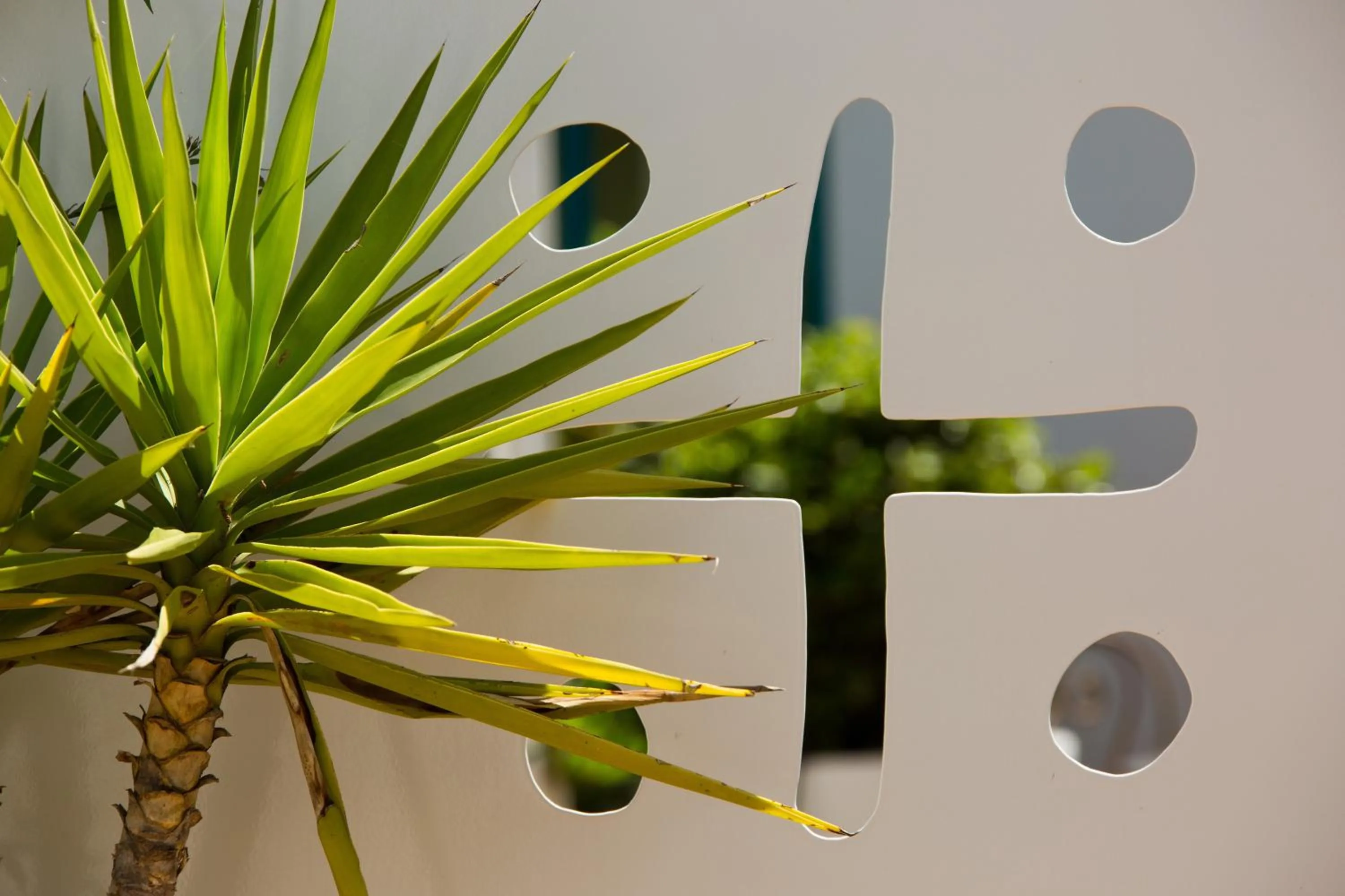 Garden in Oustau Camarguen Hôtel & Spa