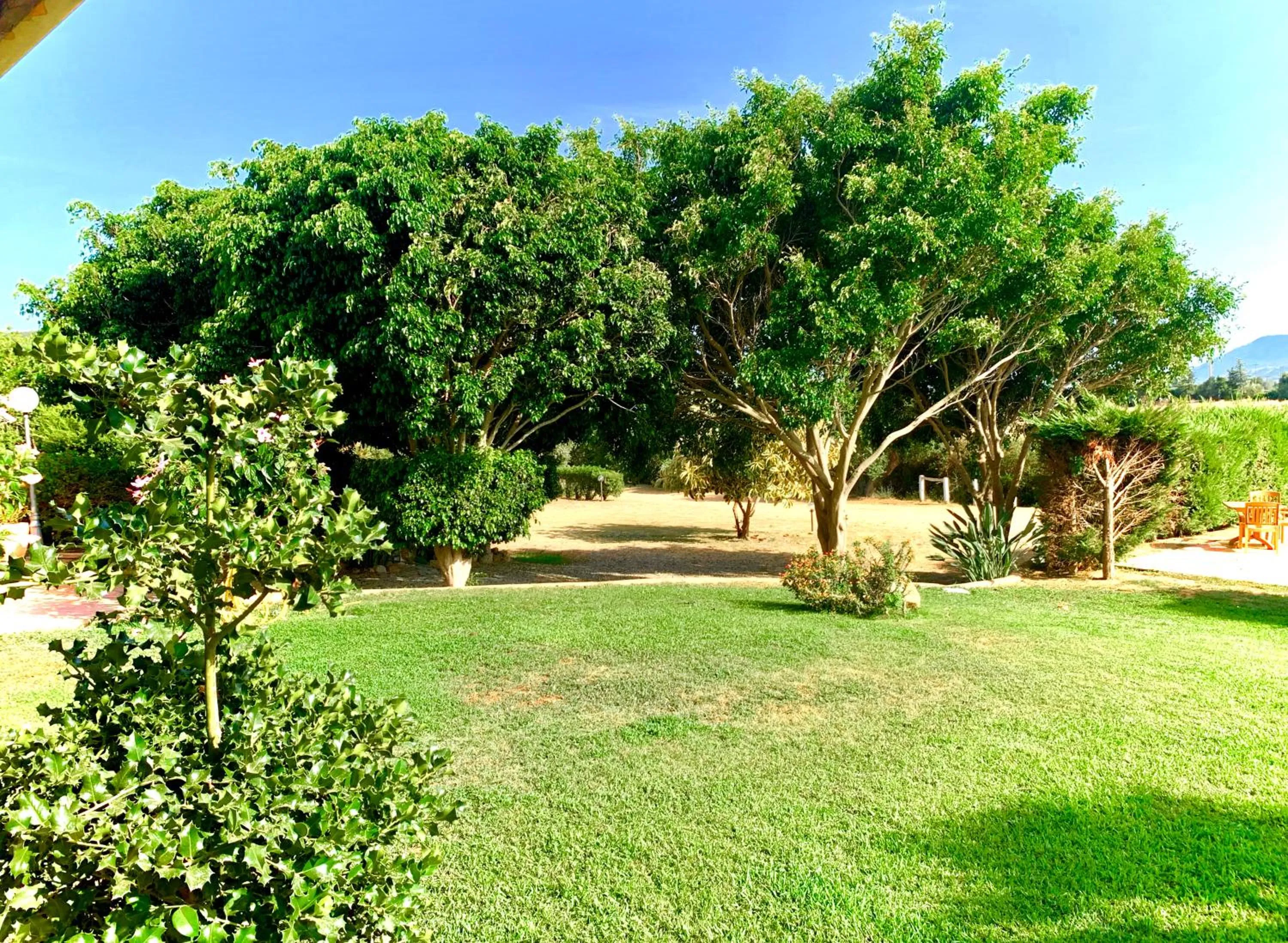 Garden in Hotel Janas