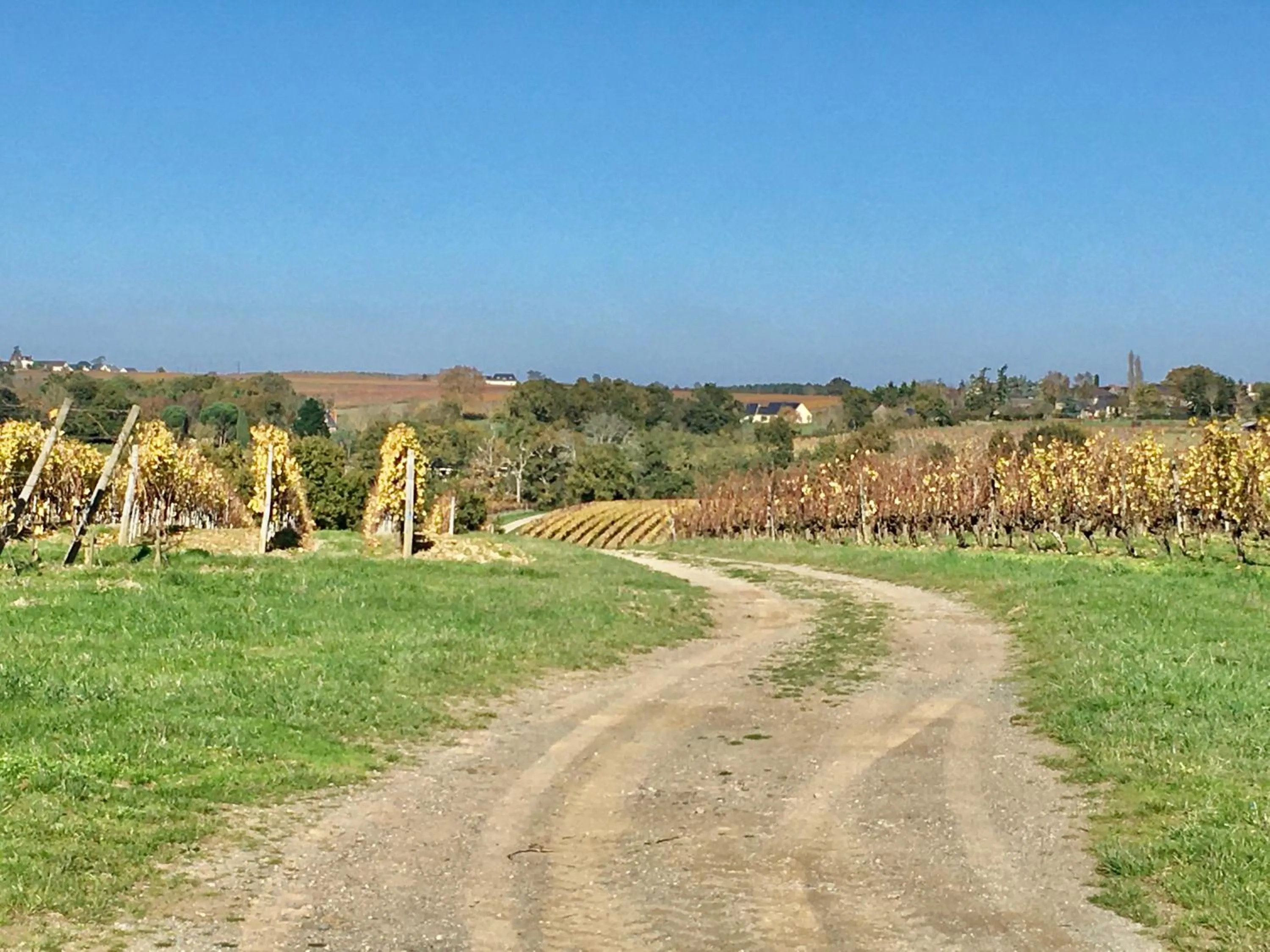 Natural landscape in La Maison Haute