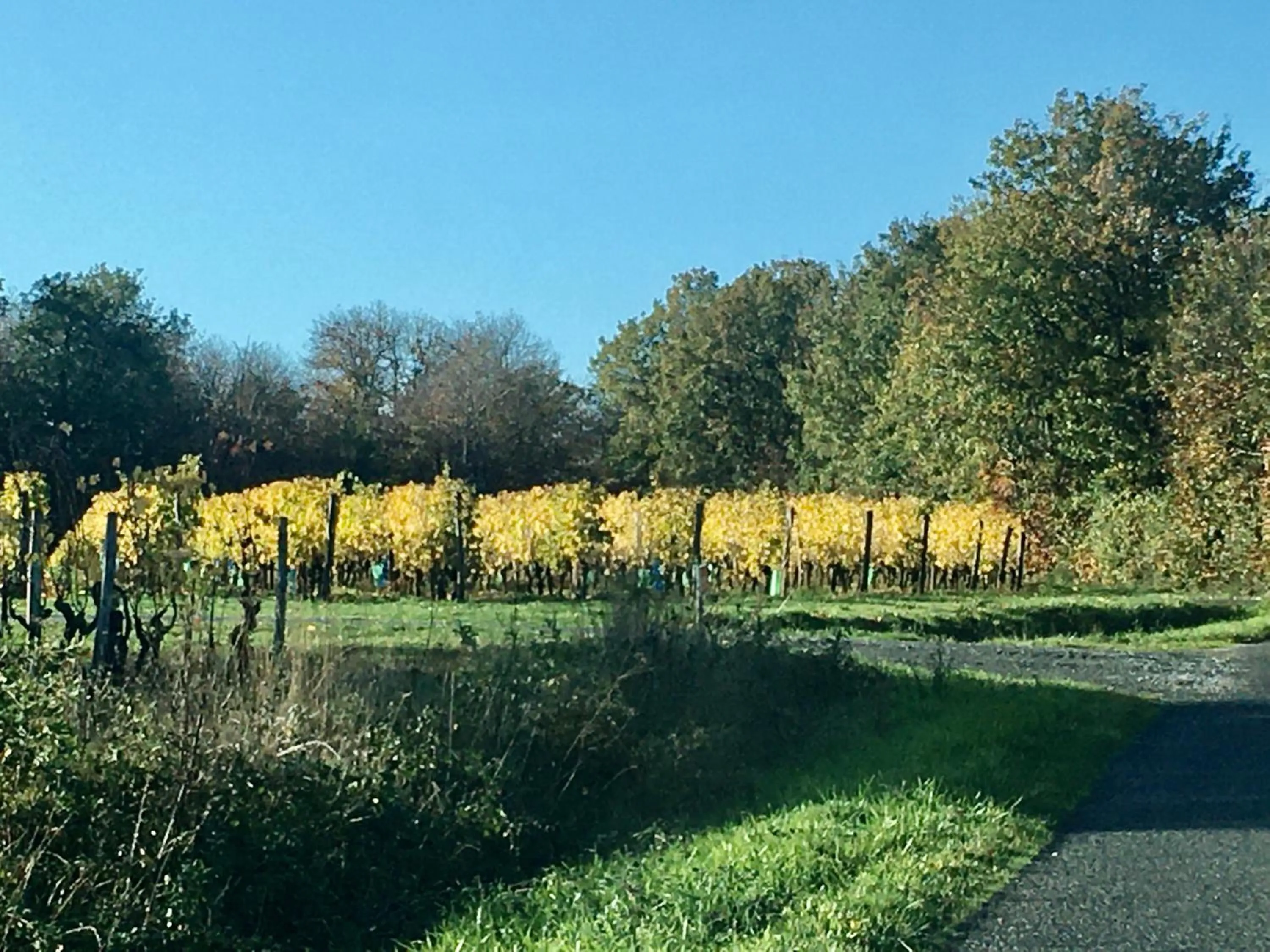 Natural landscape in La Maison Haute
