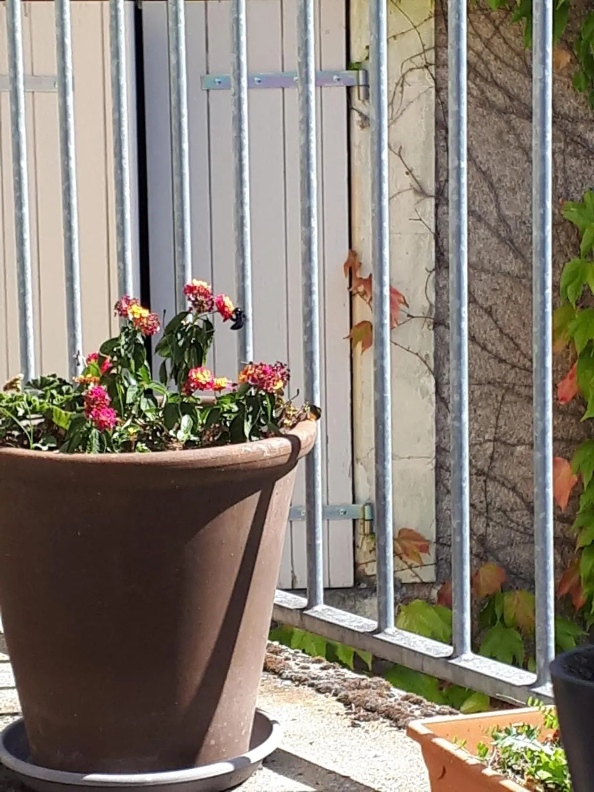 Patio in La Maison Haute