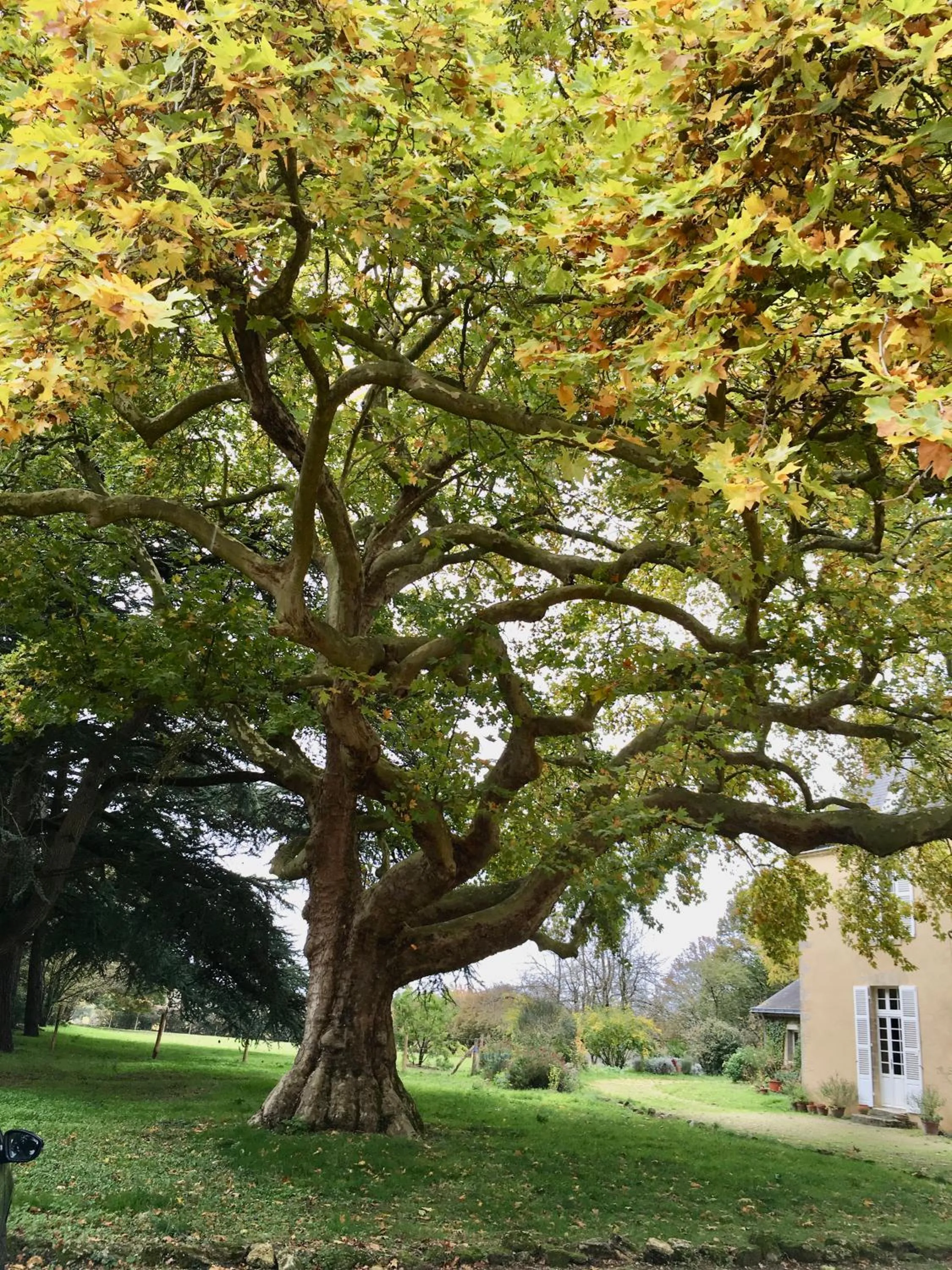 Natural landscape in La Maison Haute