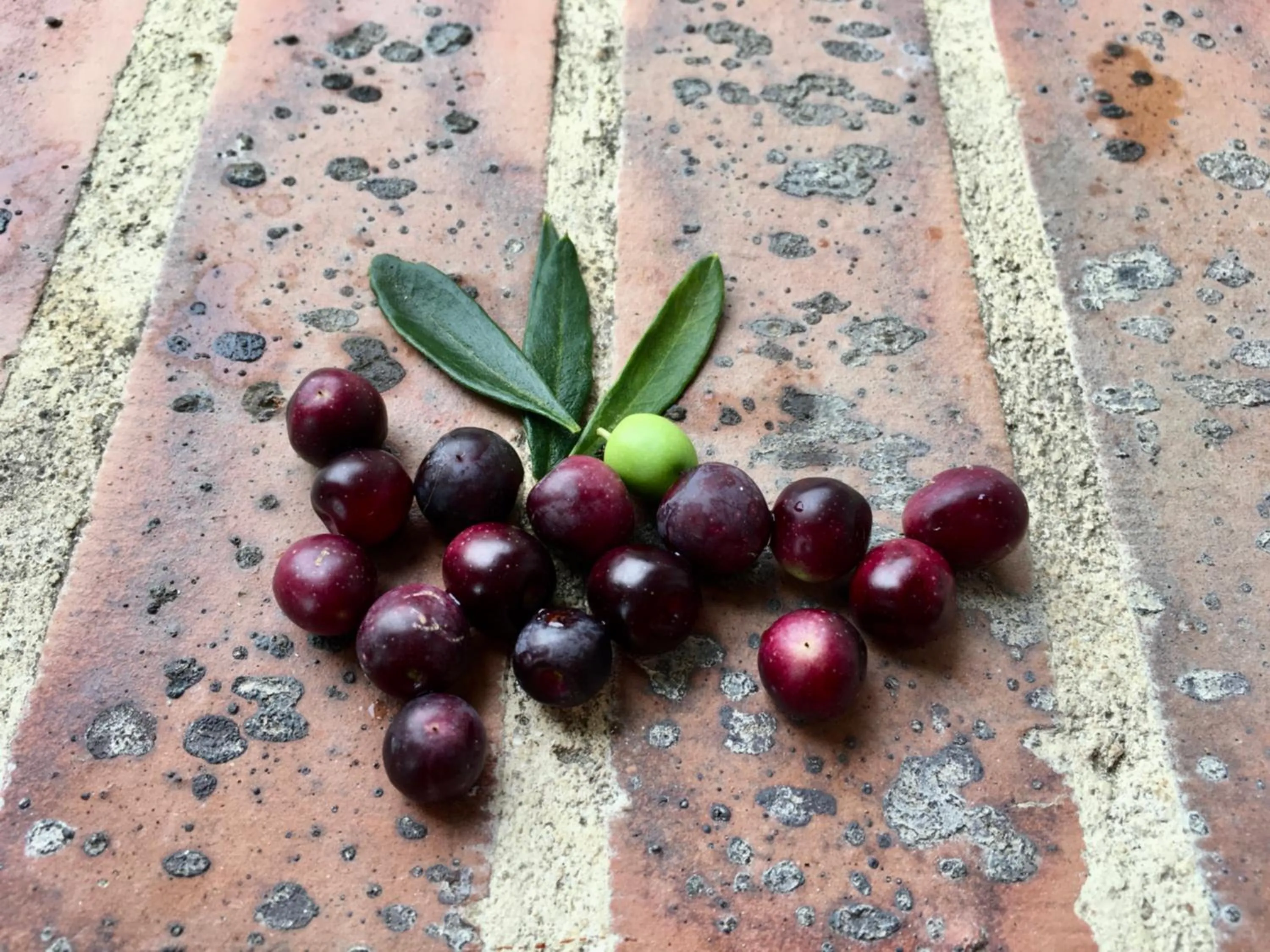 Other in La Maison Haute