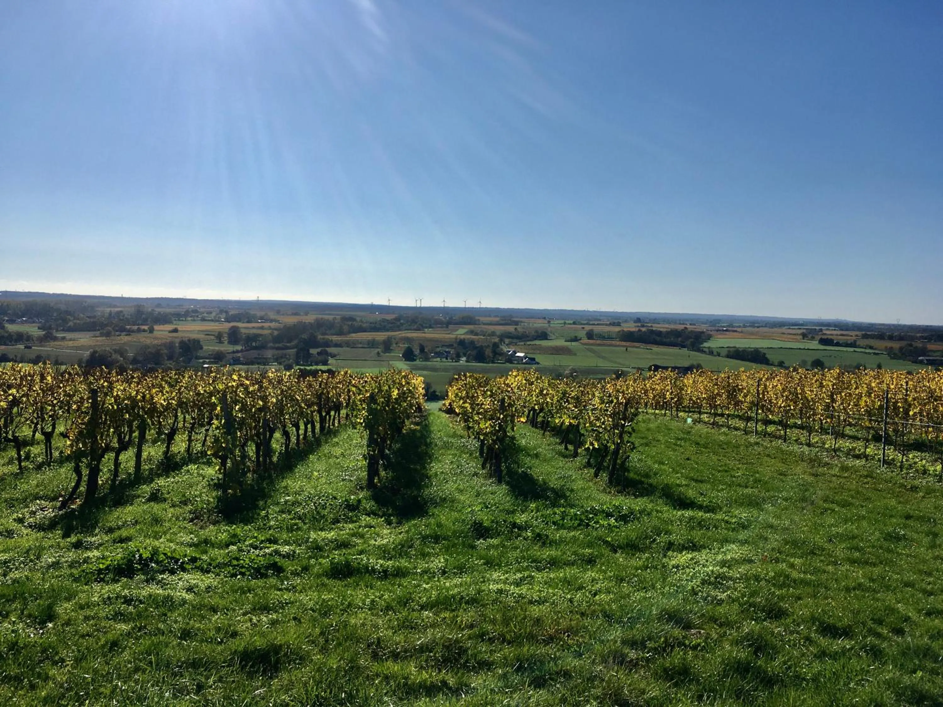 Natural landscape in La Maison Haute