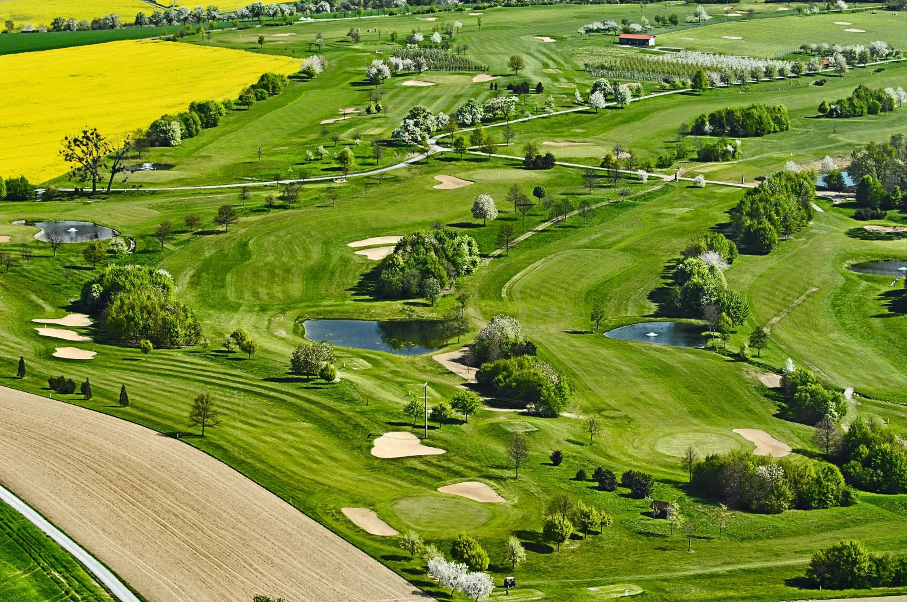 Golfcourse in Wald & Schlosshotel Friedrichsruhe