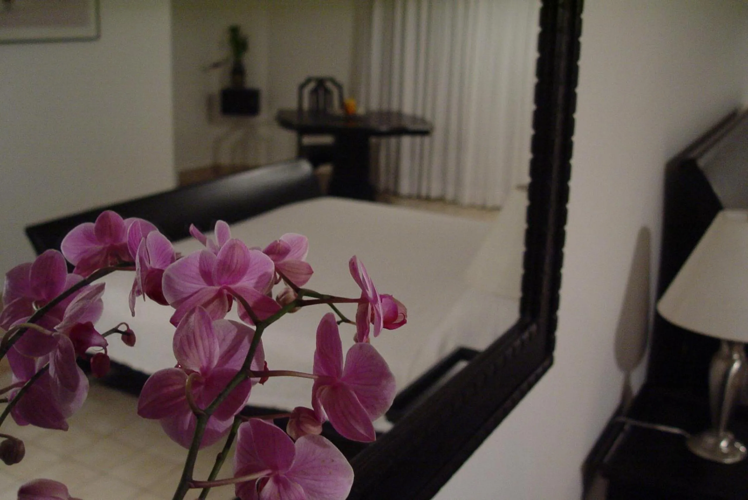 Bed in Sosua by the Sea