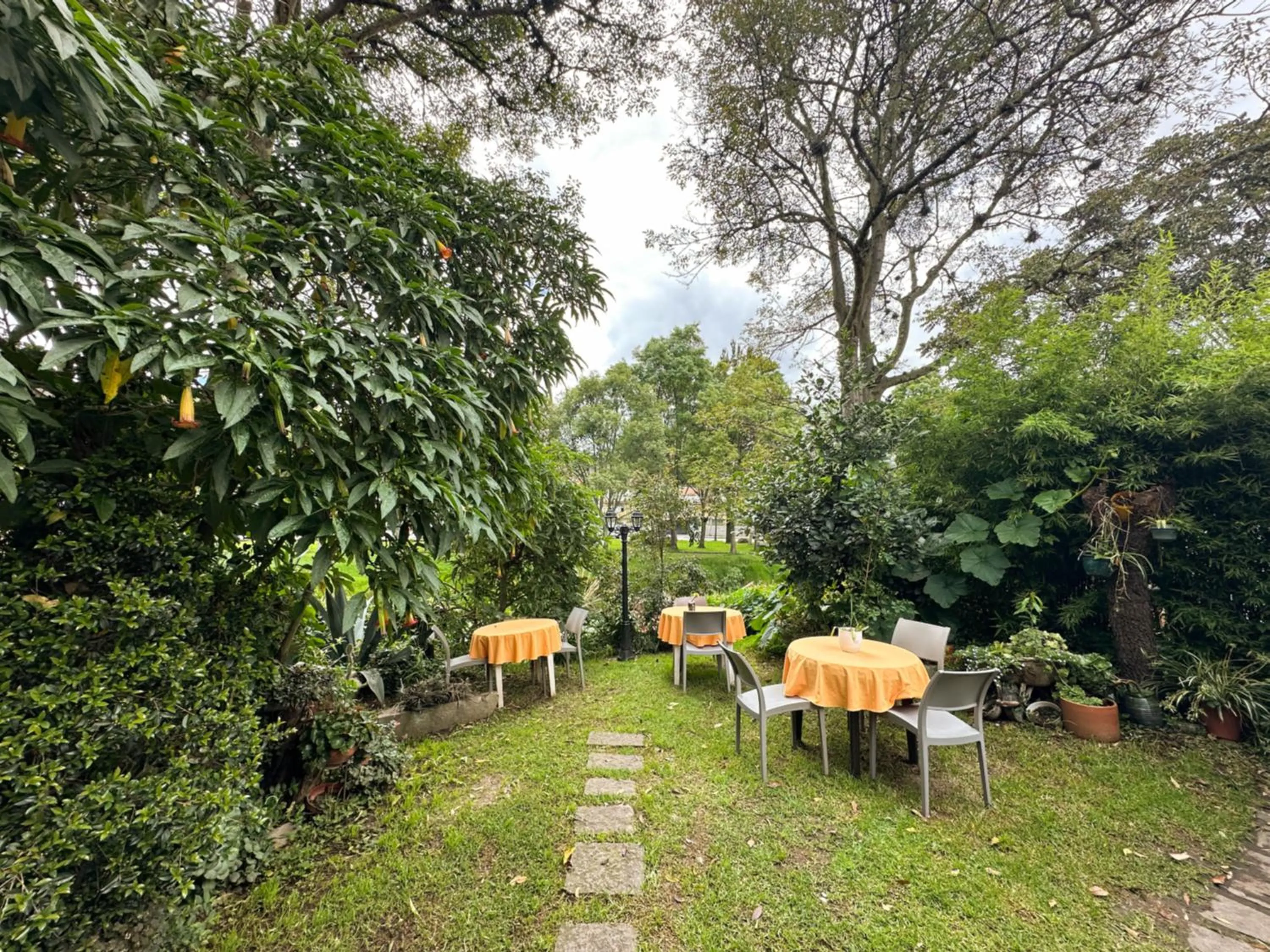 Patio in Apartamentos Otorongo Cuenca Ecuador