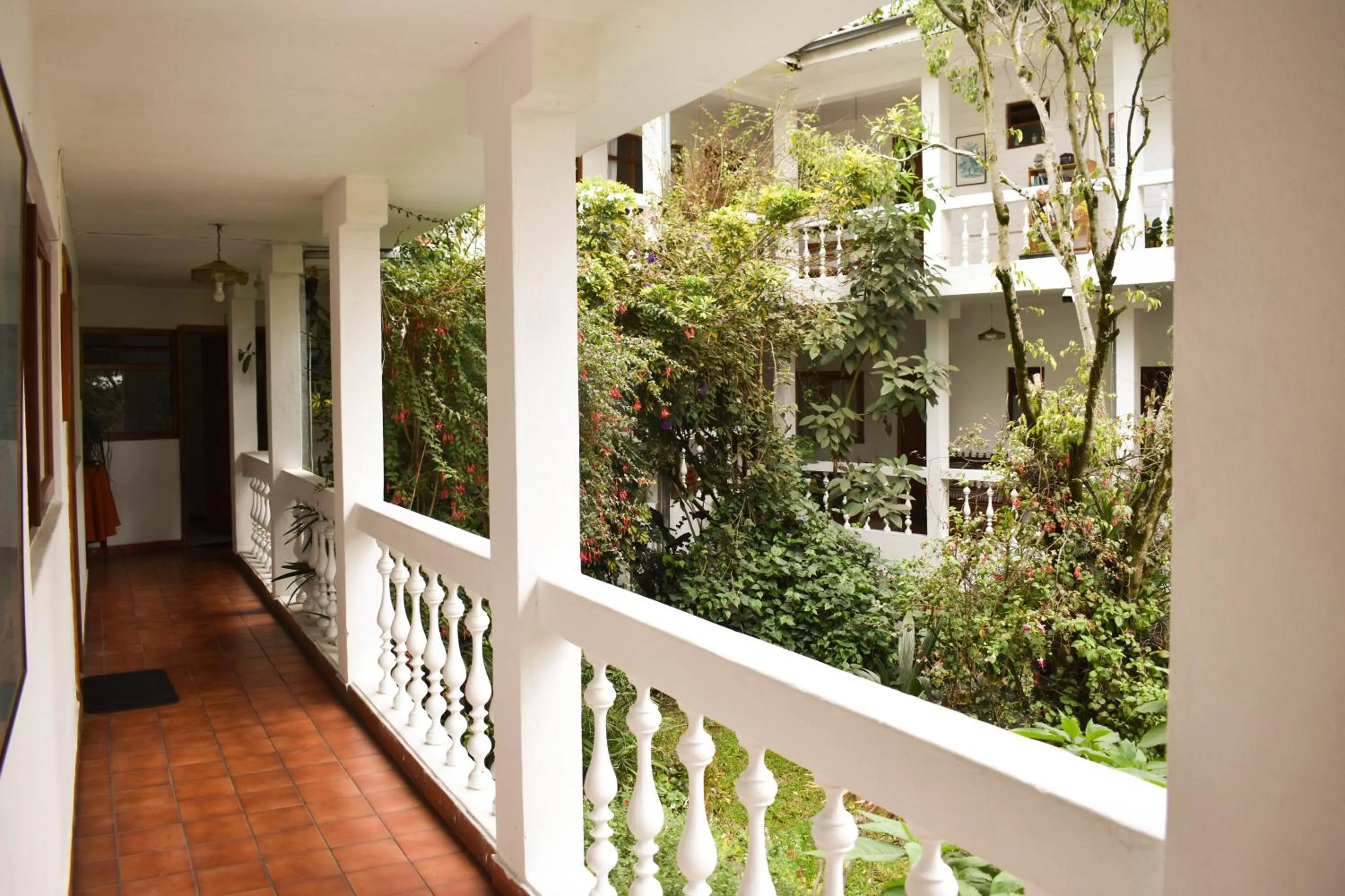 Balcony/Terrace in Apartamentos Otorongo Cuenca Ecuador