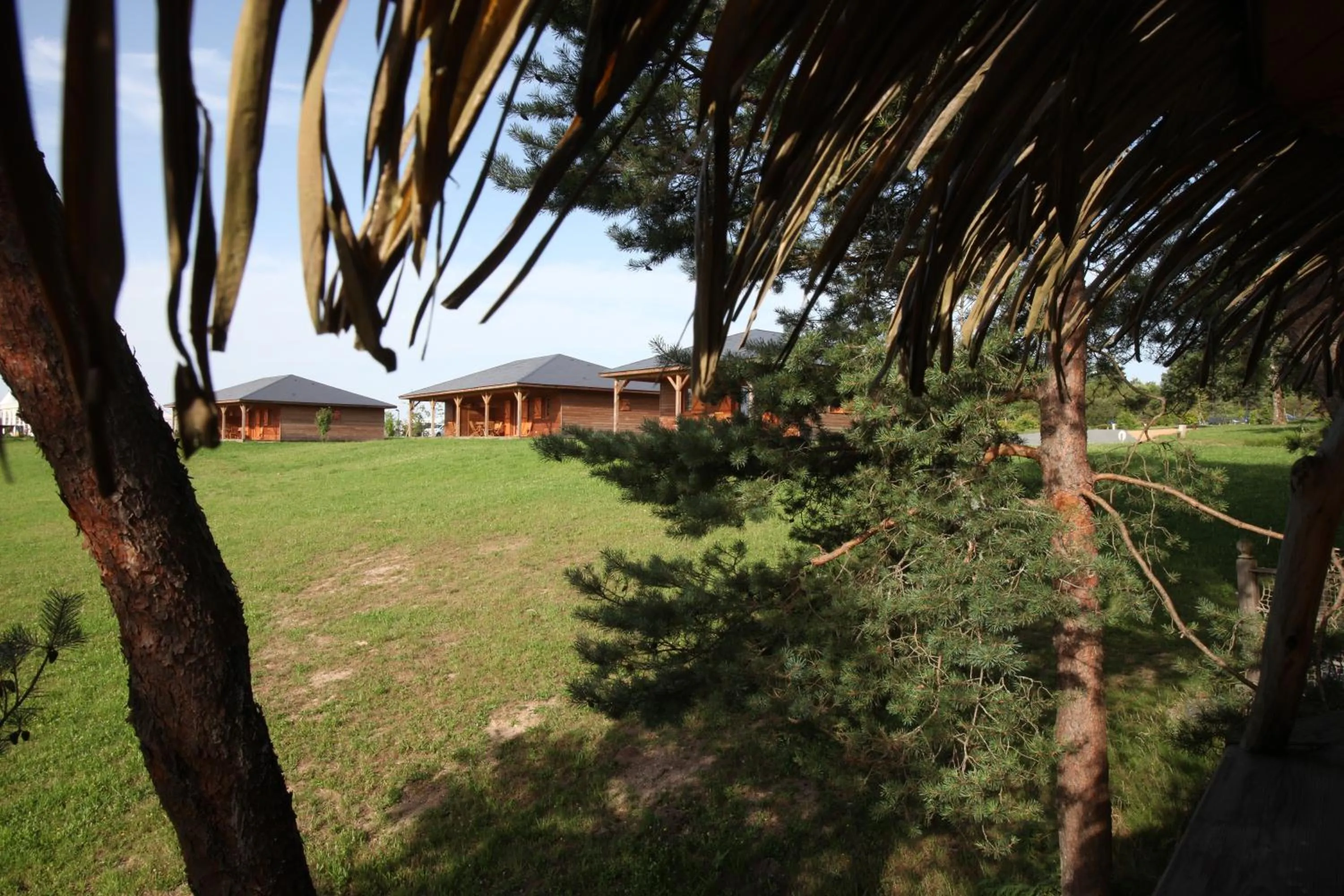 Garden view in Vacancéole - Le Domaine des Monédières