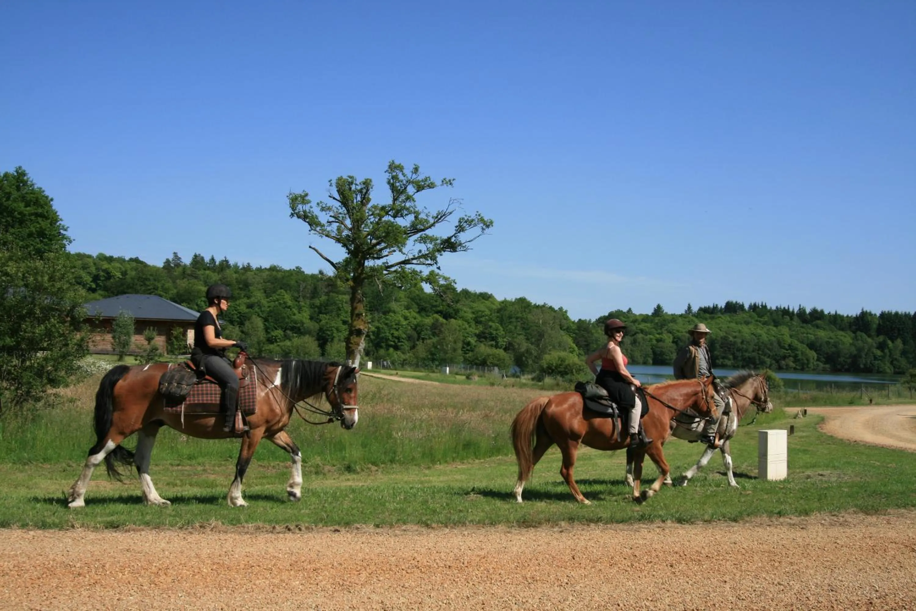 Horse-riding in Vacancéole - Le Domaine des Monédières