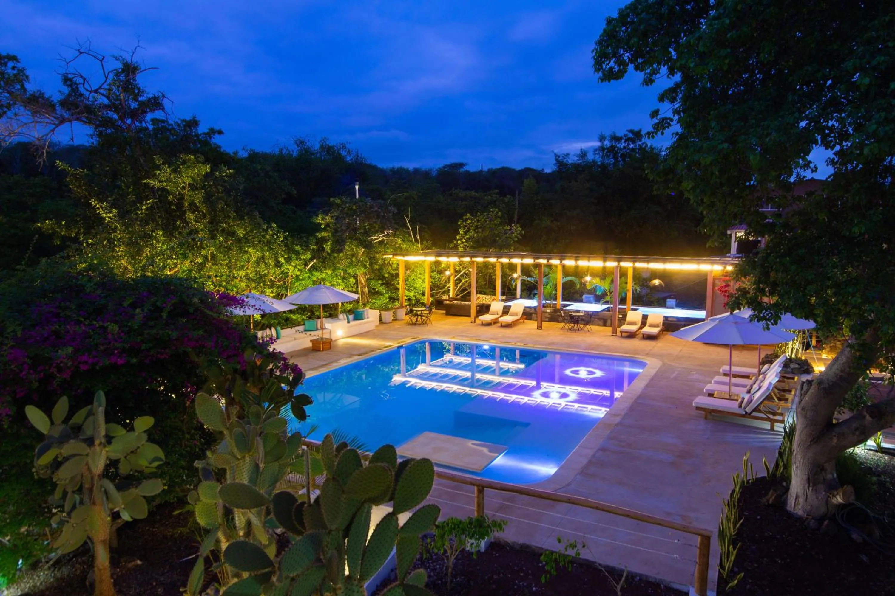 Night in Hotel Fiesta