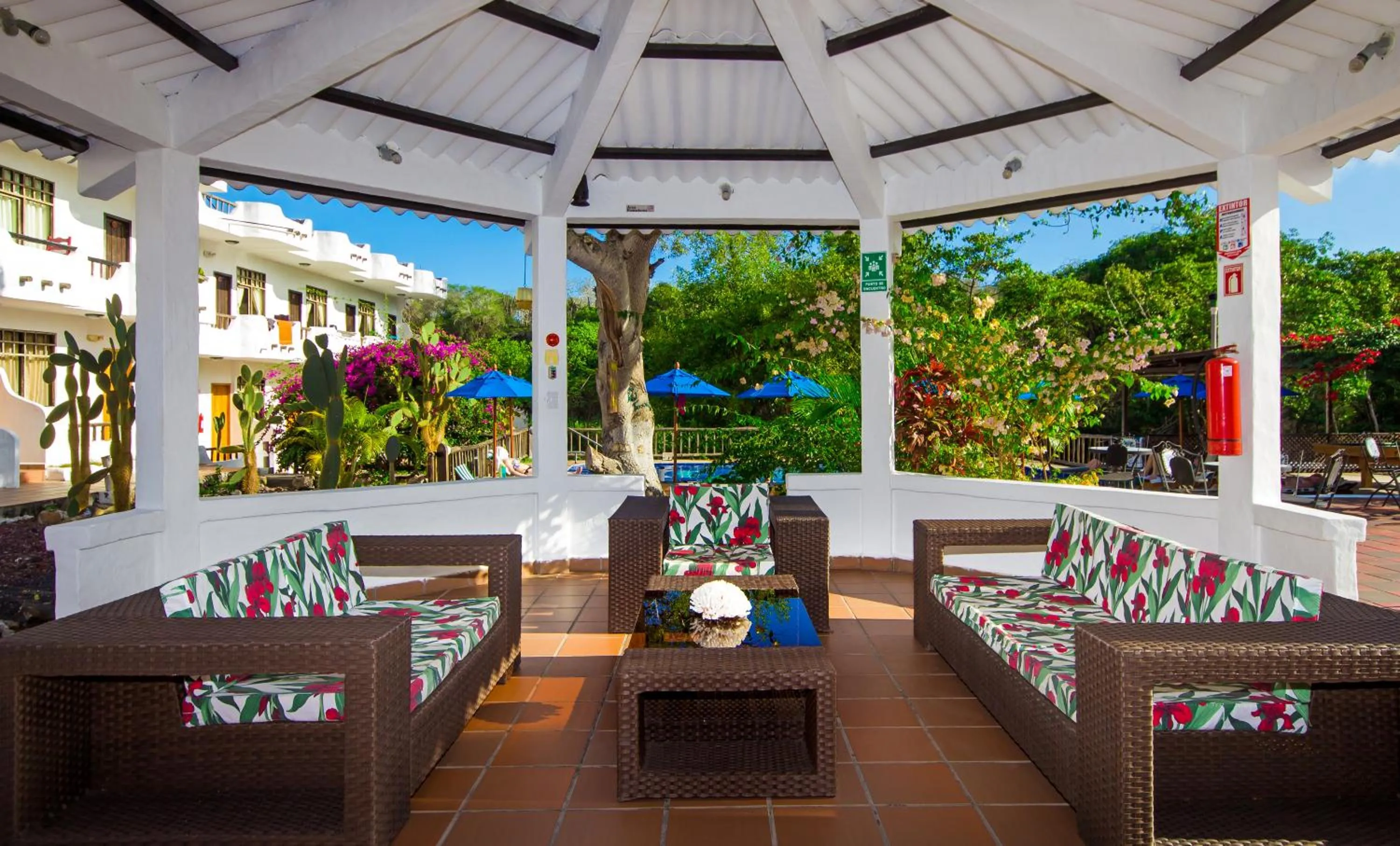 Garden in Hotel Fiesta