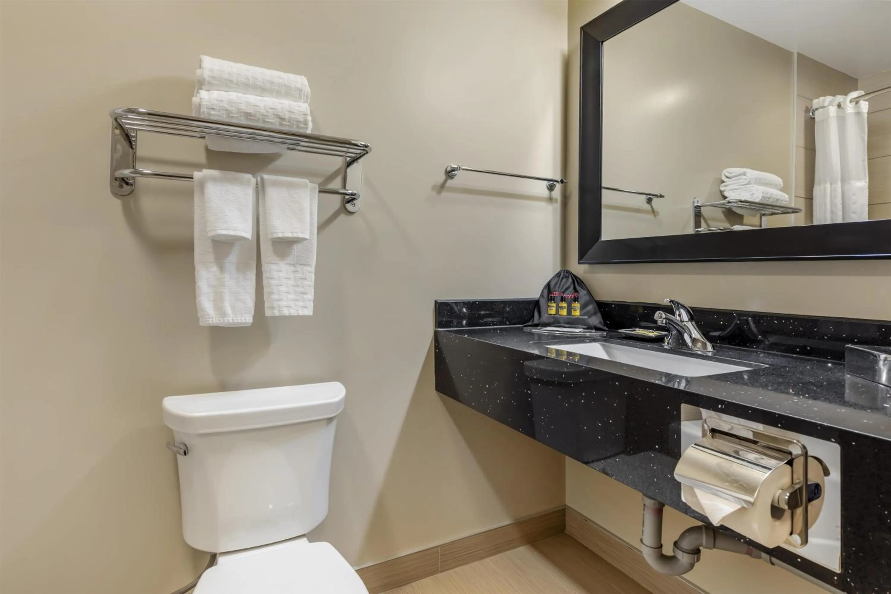 Bathroom in Best Western Plus Moose Jaw