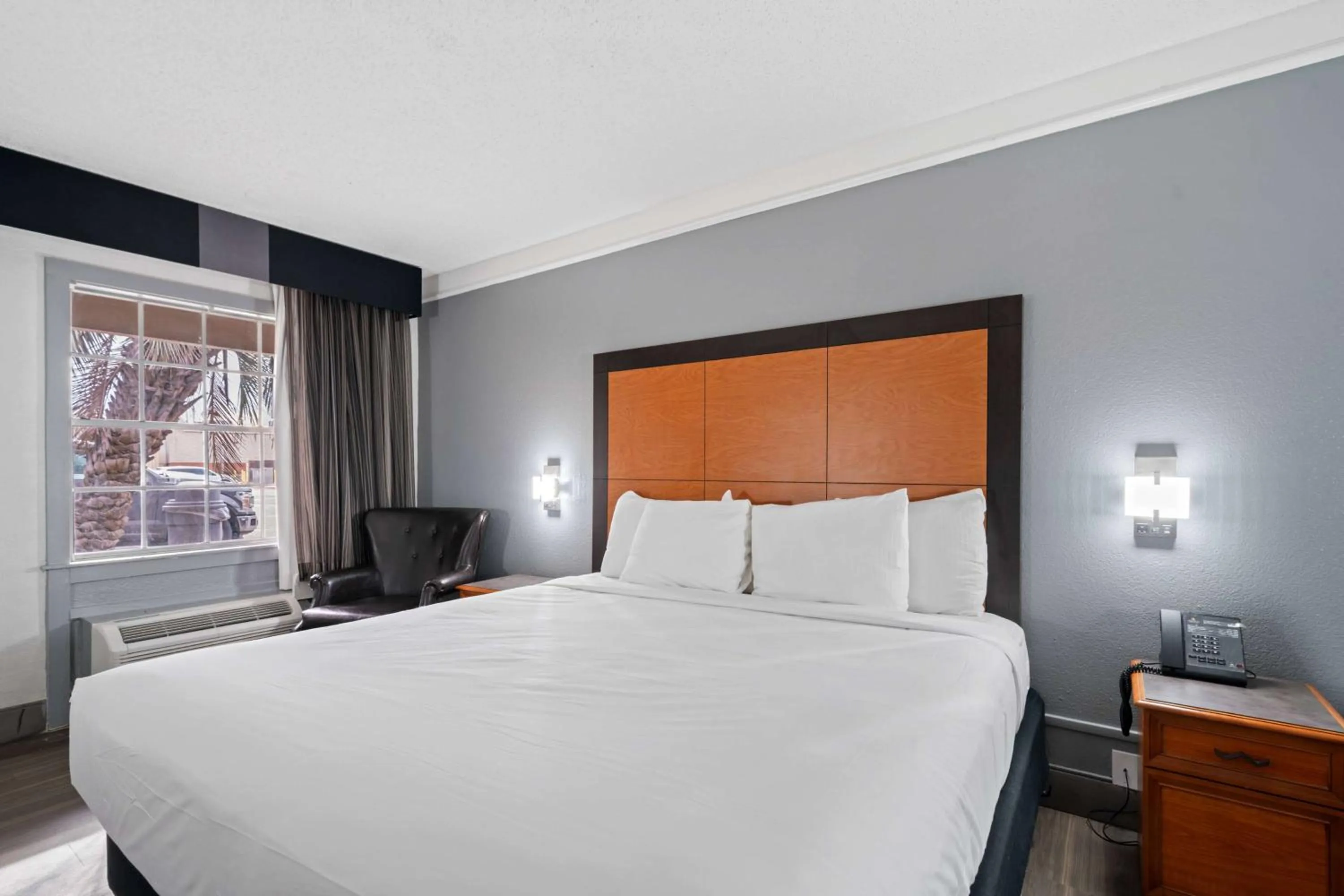 Photo of the whole room in La Quinta Inn by Wyndham Corpus Christi North