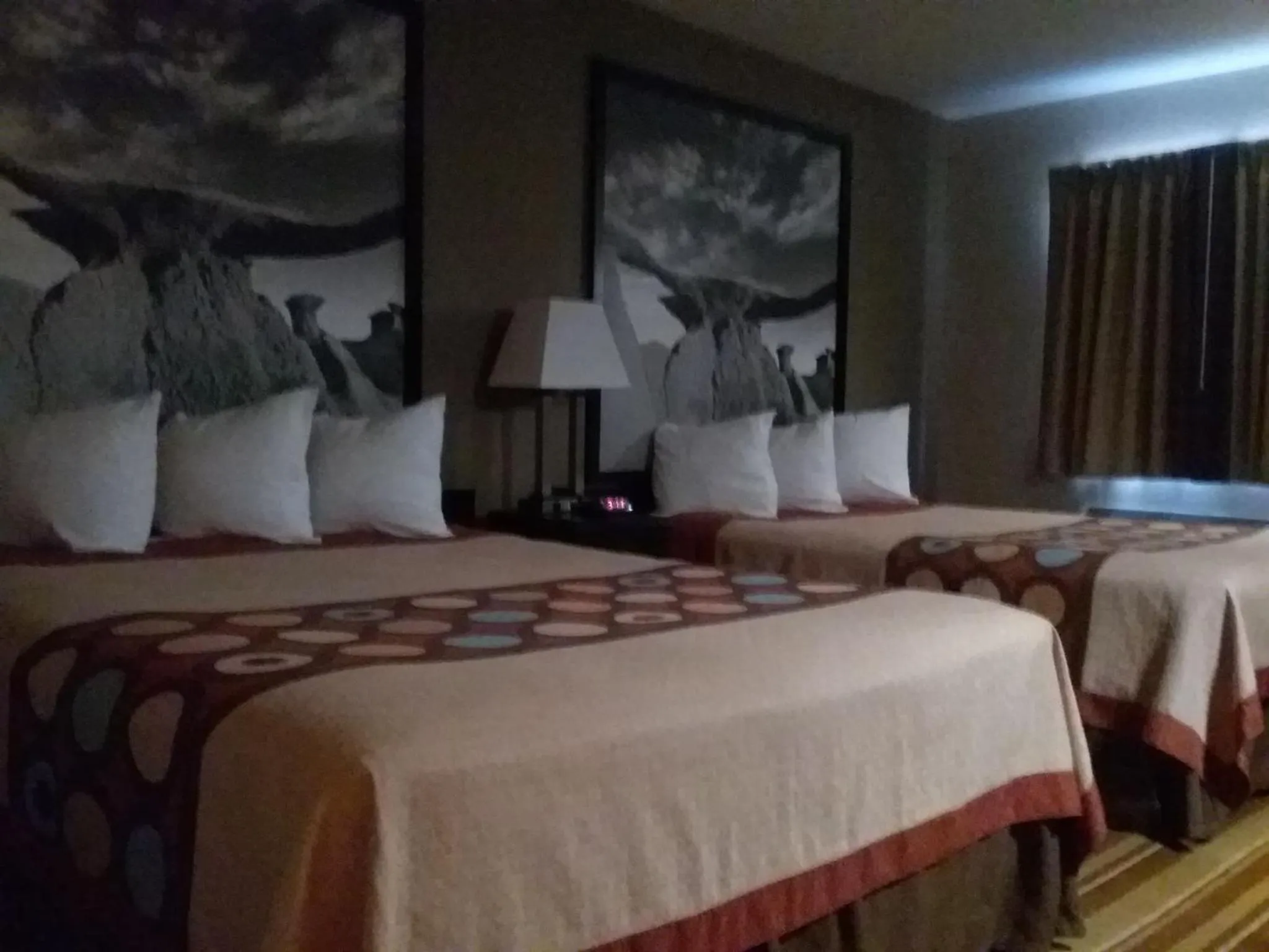 Bed in Super 8 by Wyndham Taos